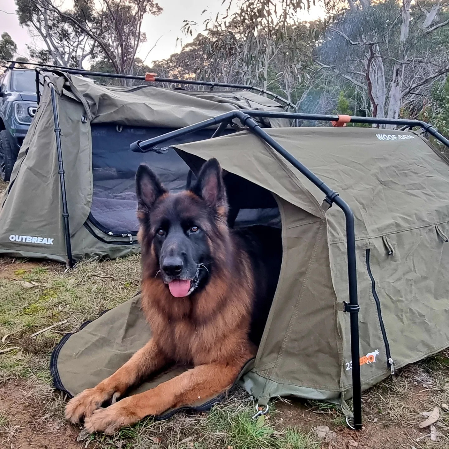 Ningee Nimbell creek Nature Camp