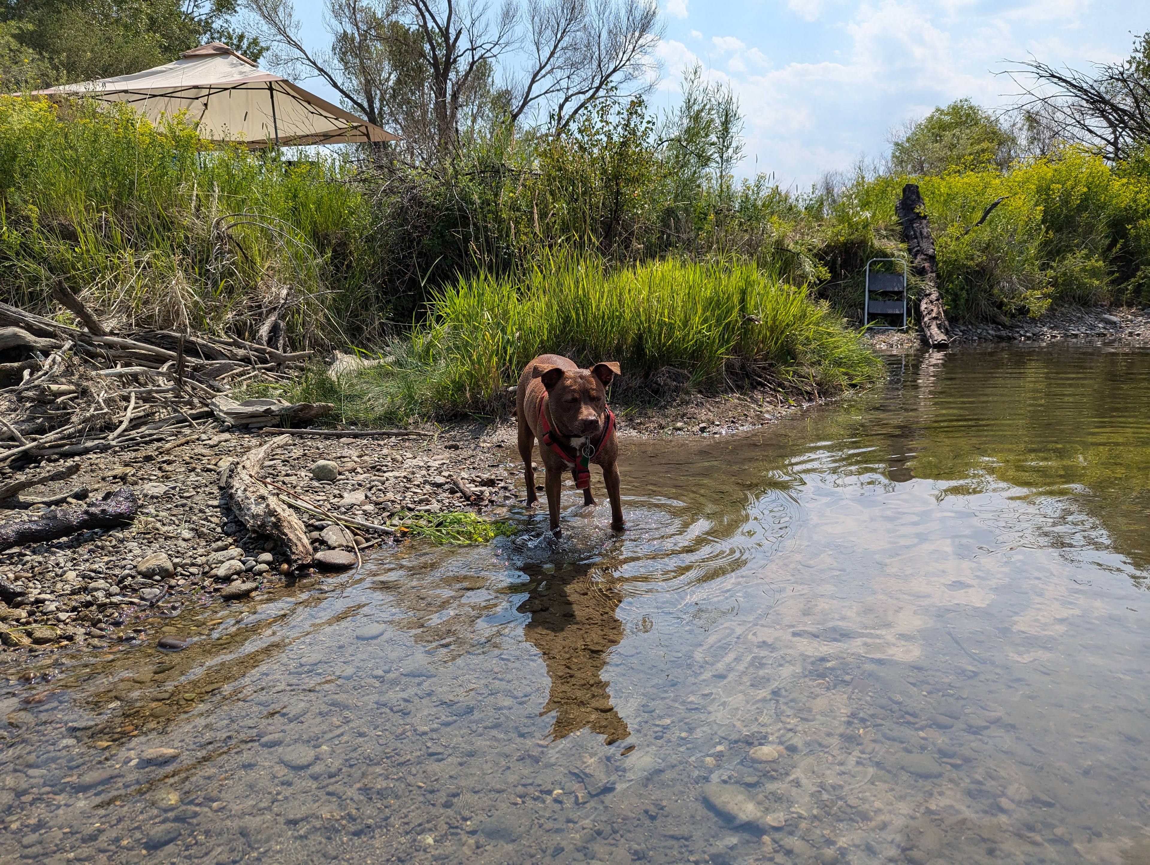 Old Town River Ranch