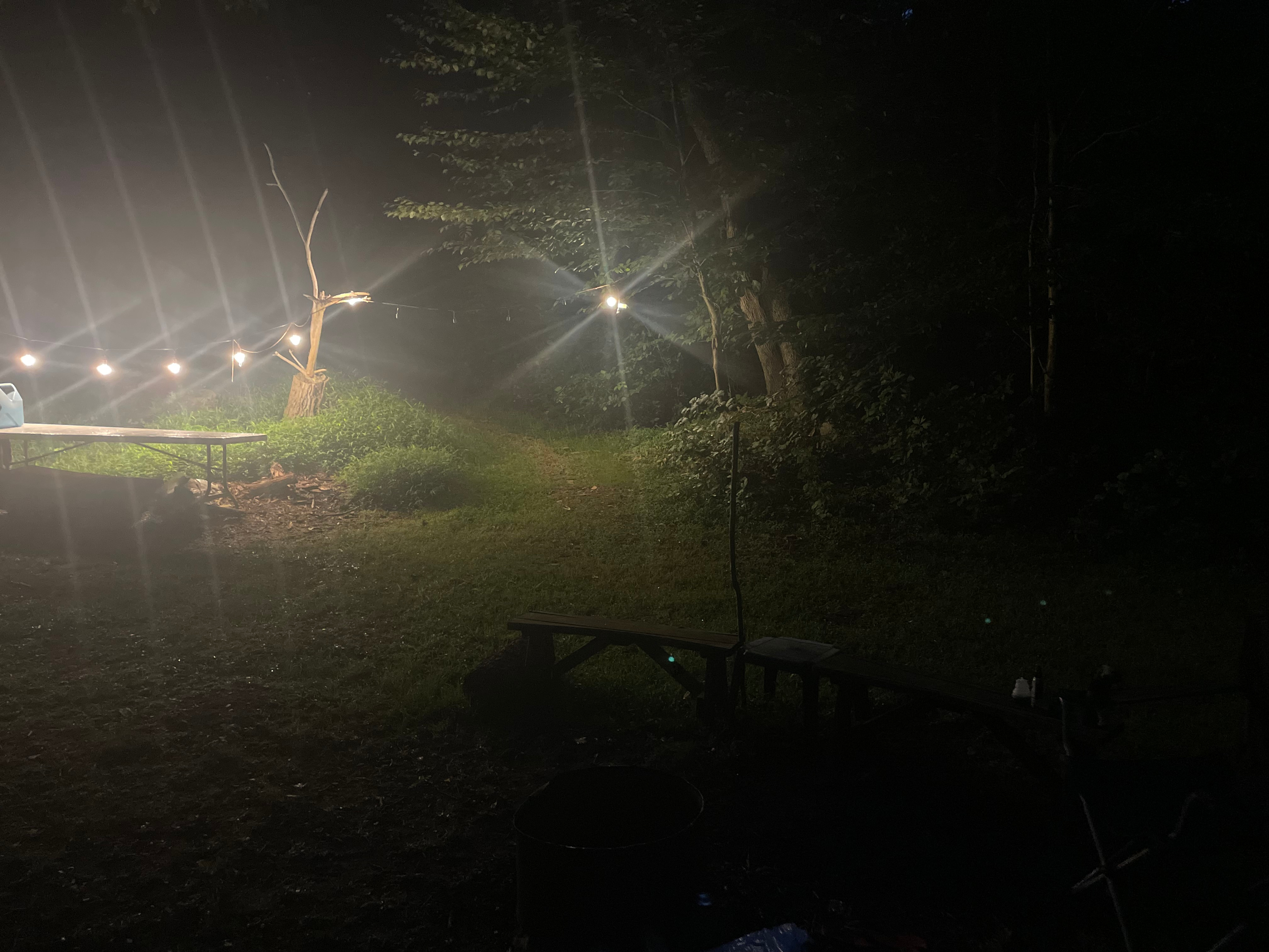 Pinnacle Orchard