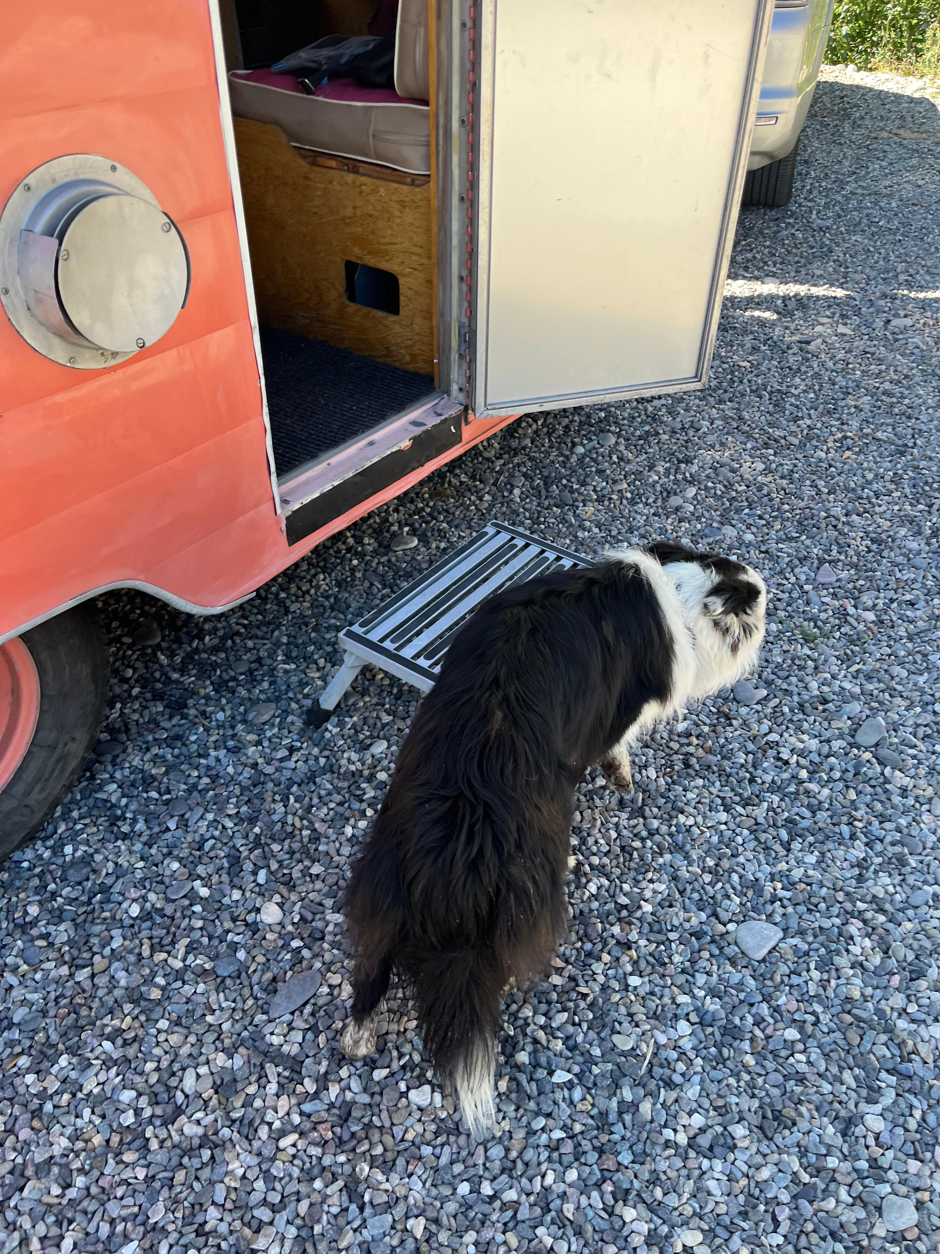Cactus River Ranch RV