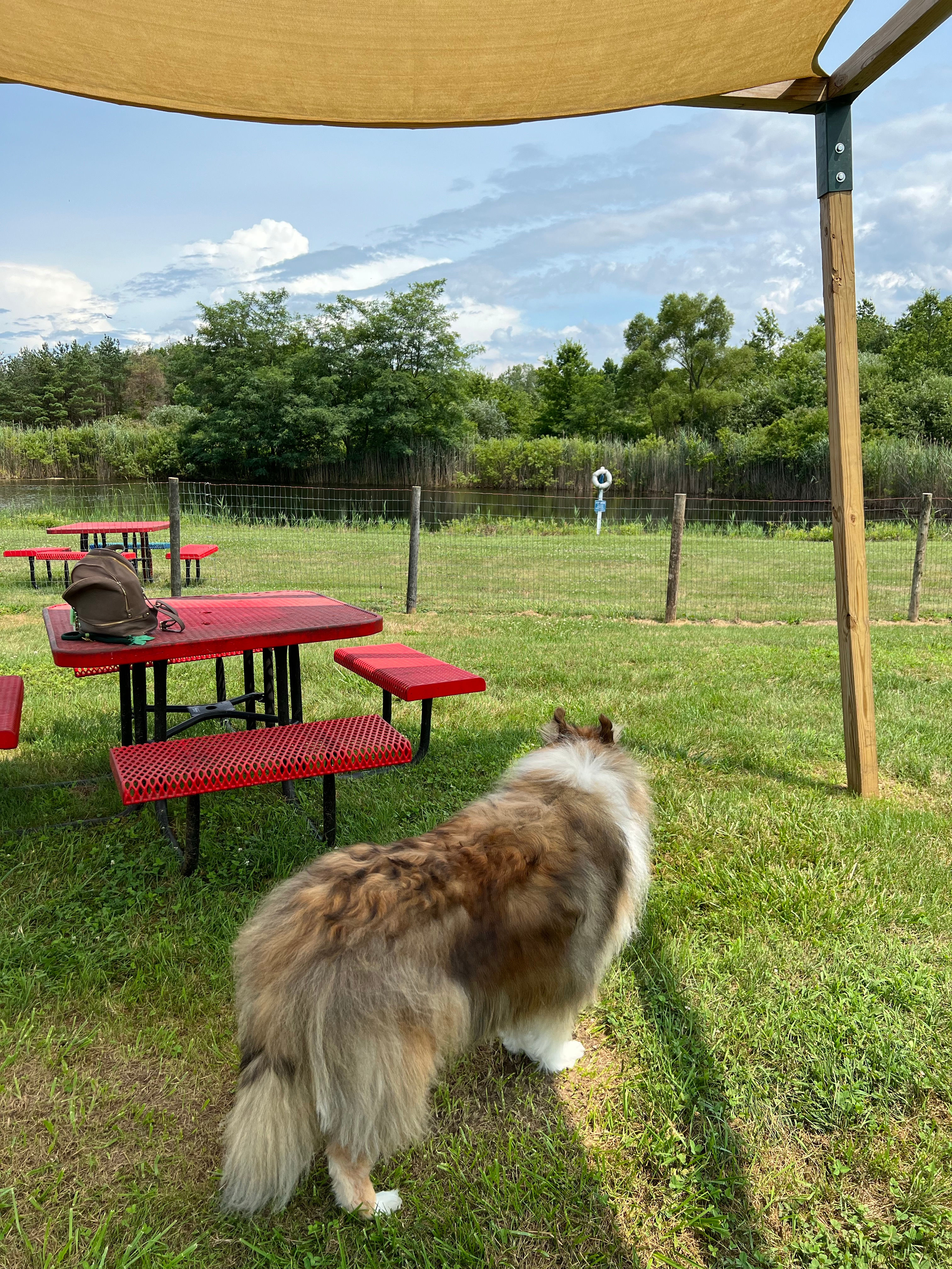 Camping in Wine Country