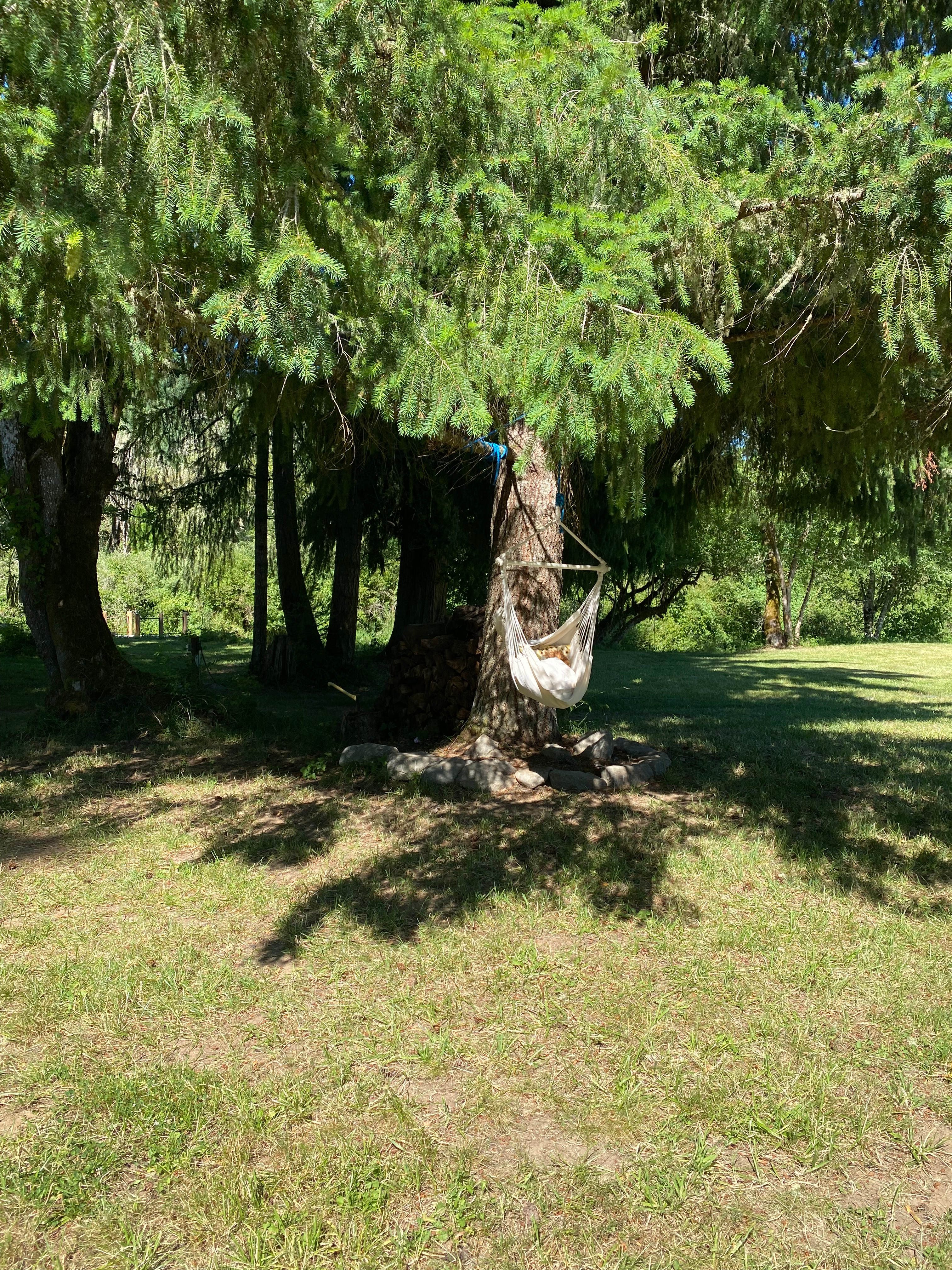 Wild Roots River Oasis