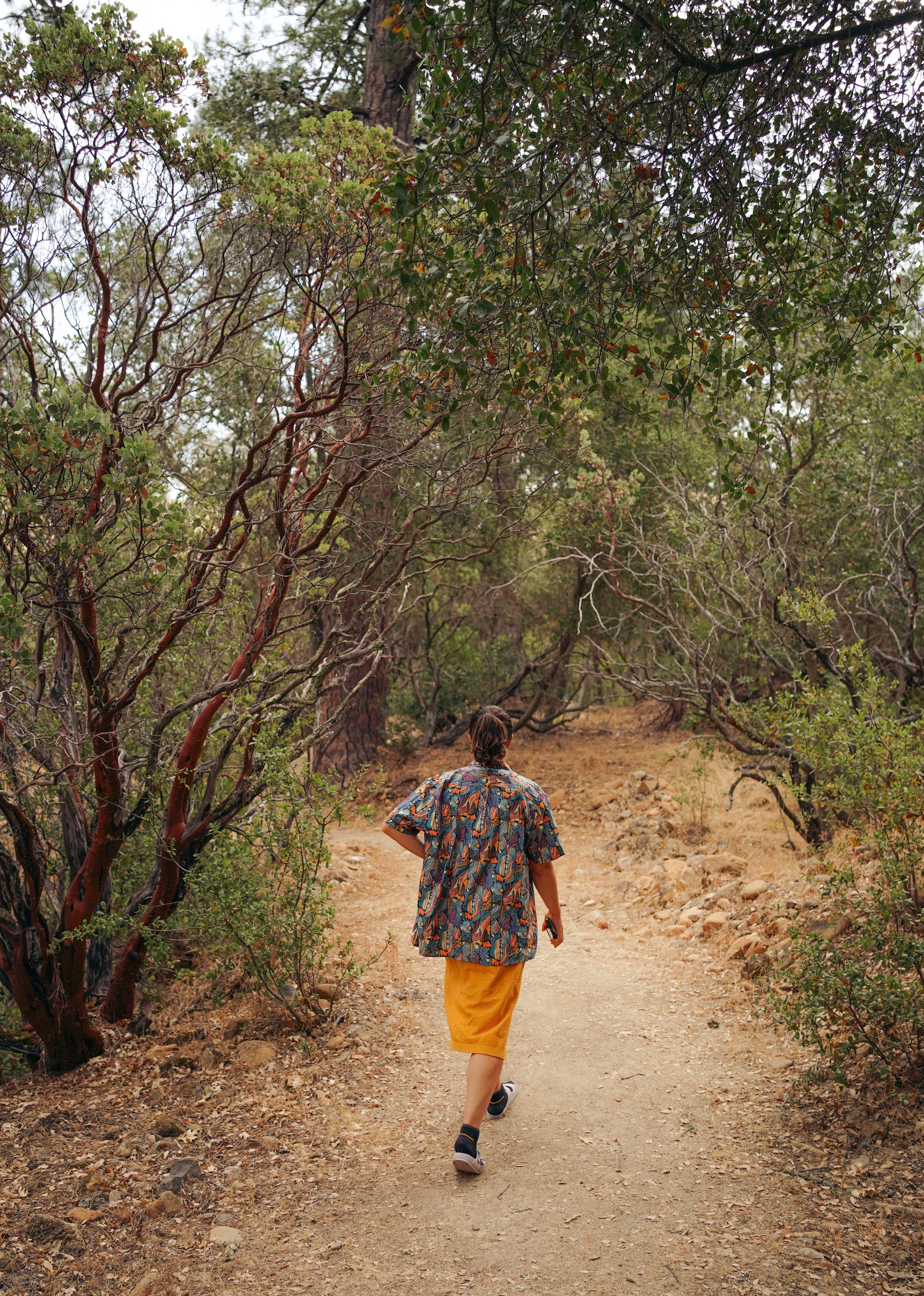 Trail to site 5
