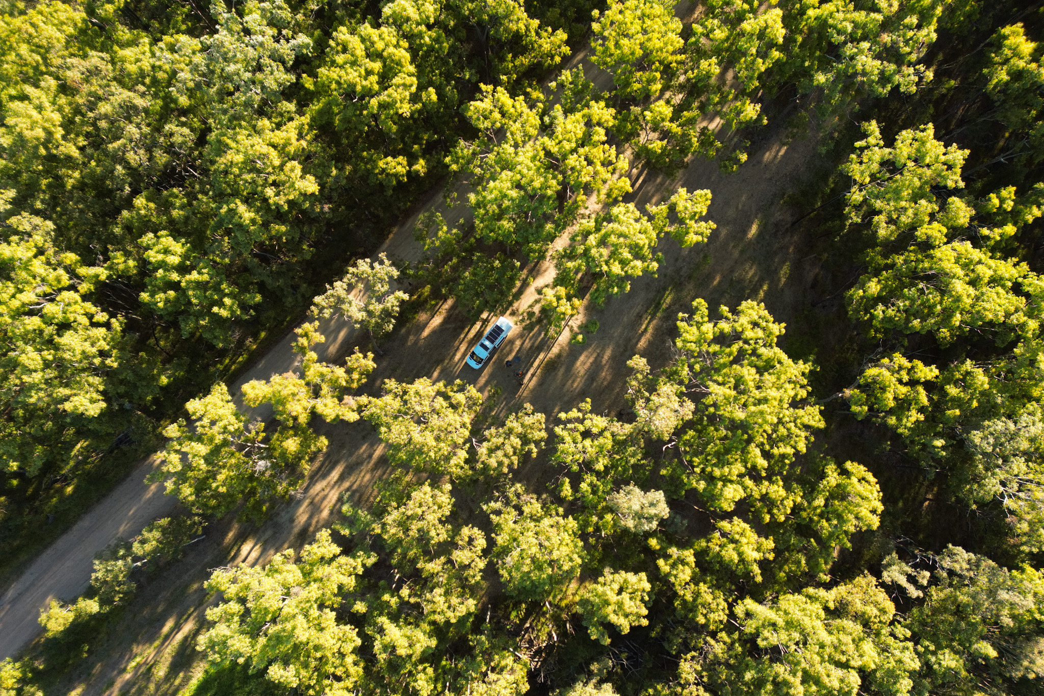 We loved the surrounding forest.🌳 