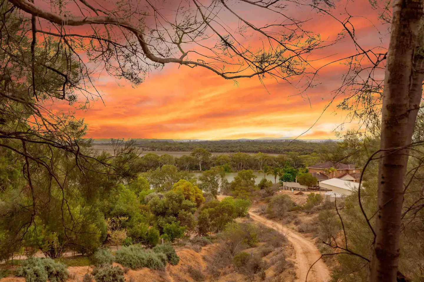 Paringa Pet Friendly Farmstay