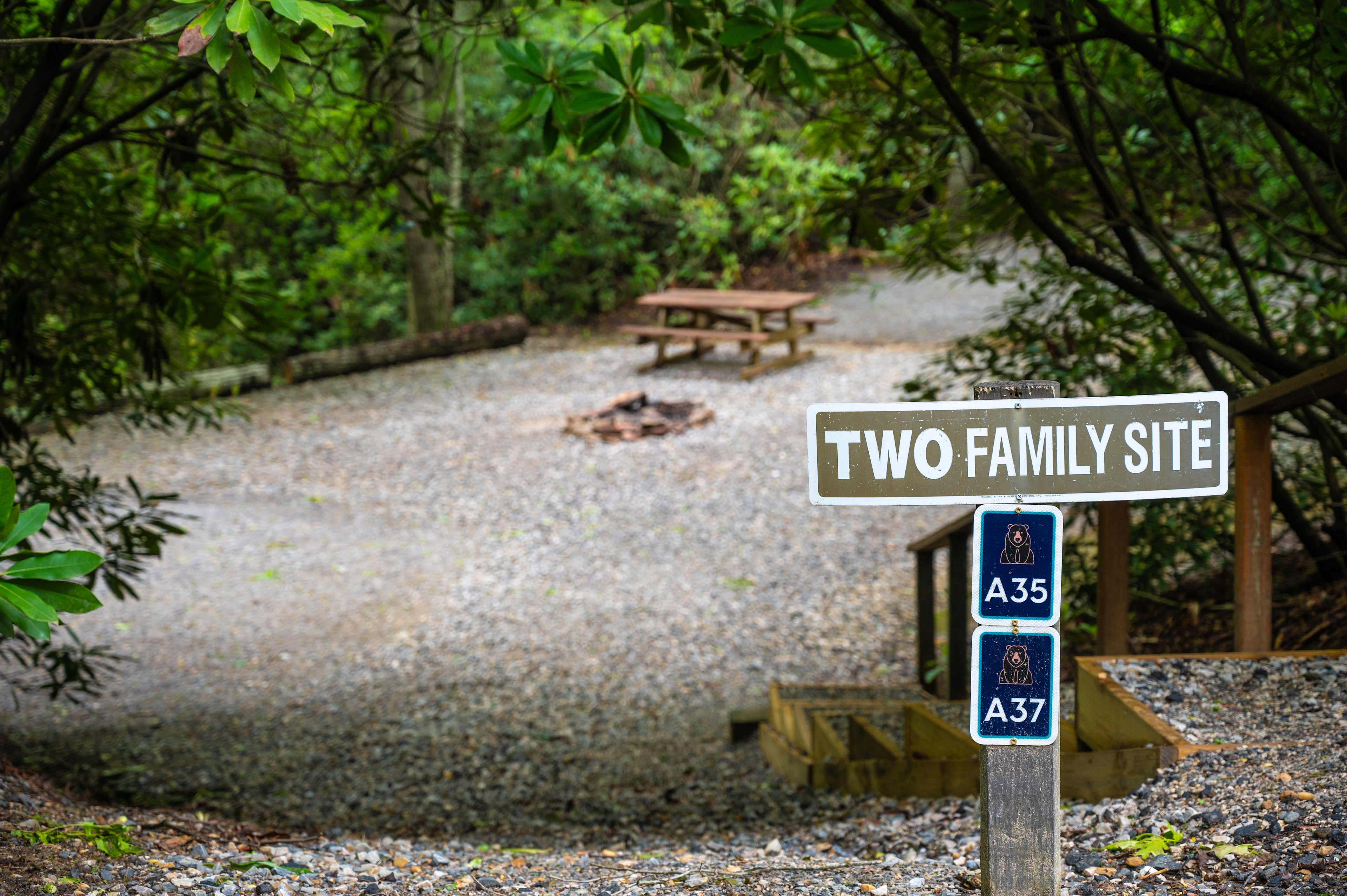Spacious Skies Bear Den - RV/Tent Sites