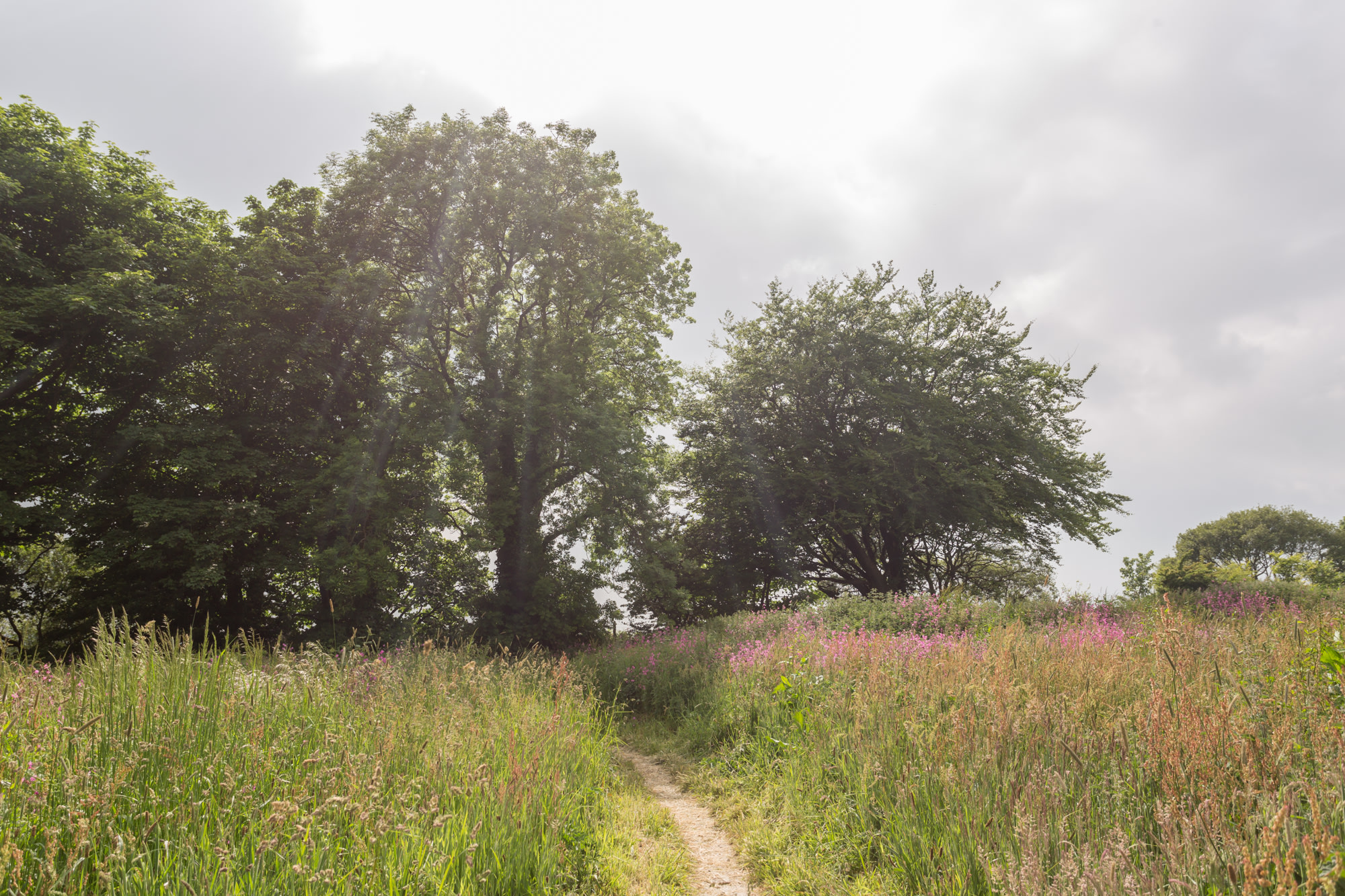 Ekopod Glamping Site Cornwall