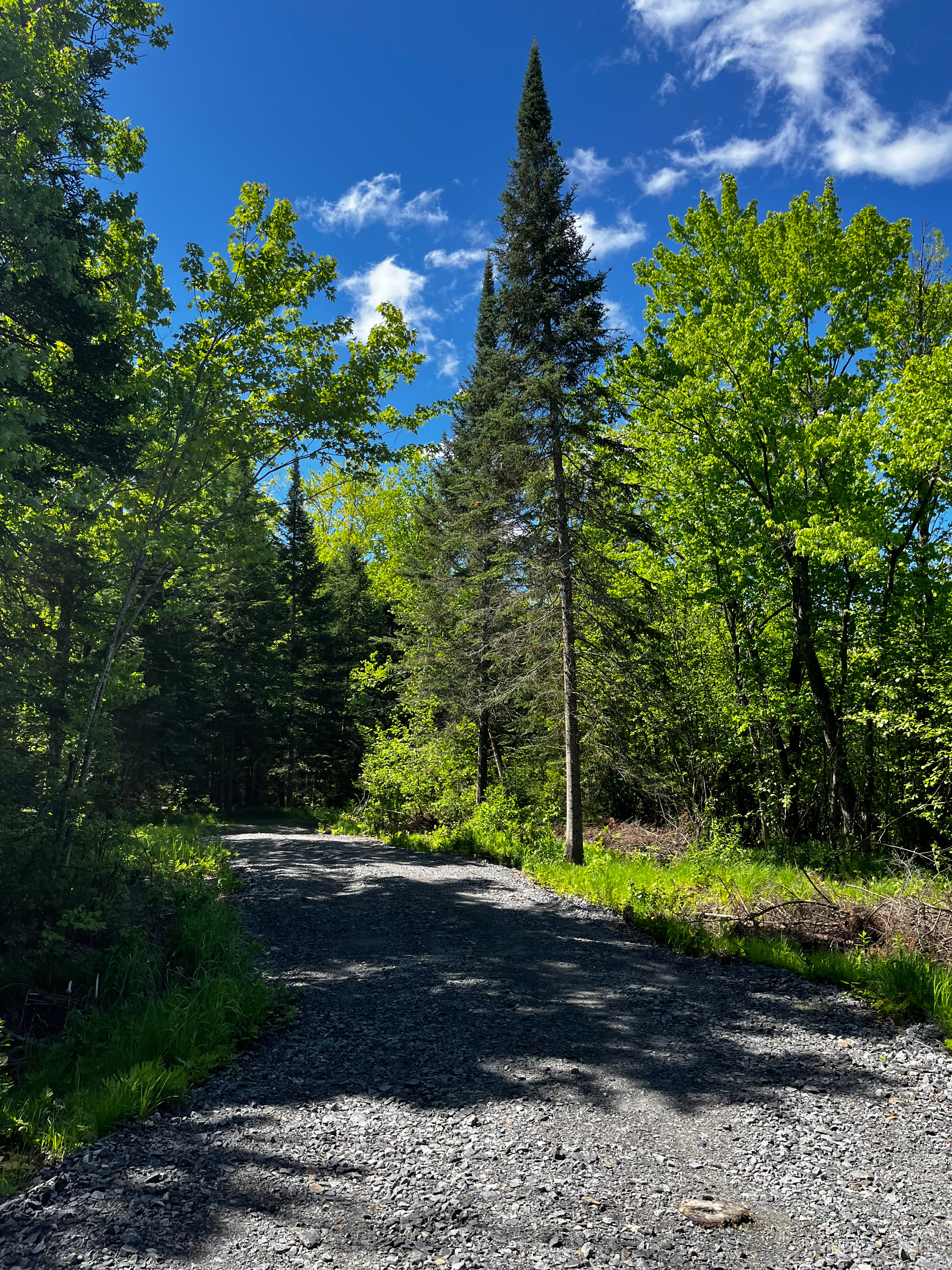 Muskoka Wellness Retreat