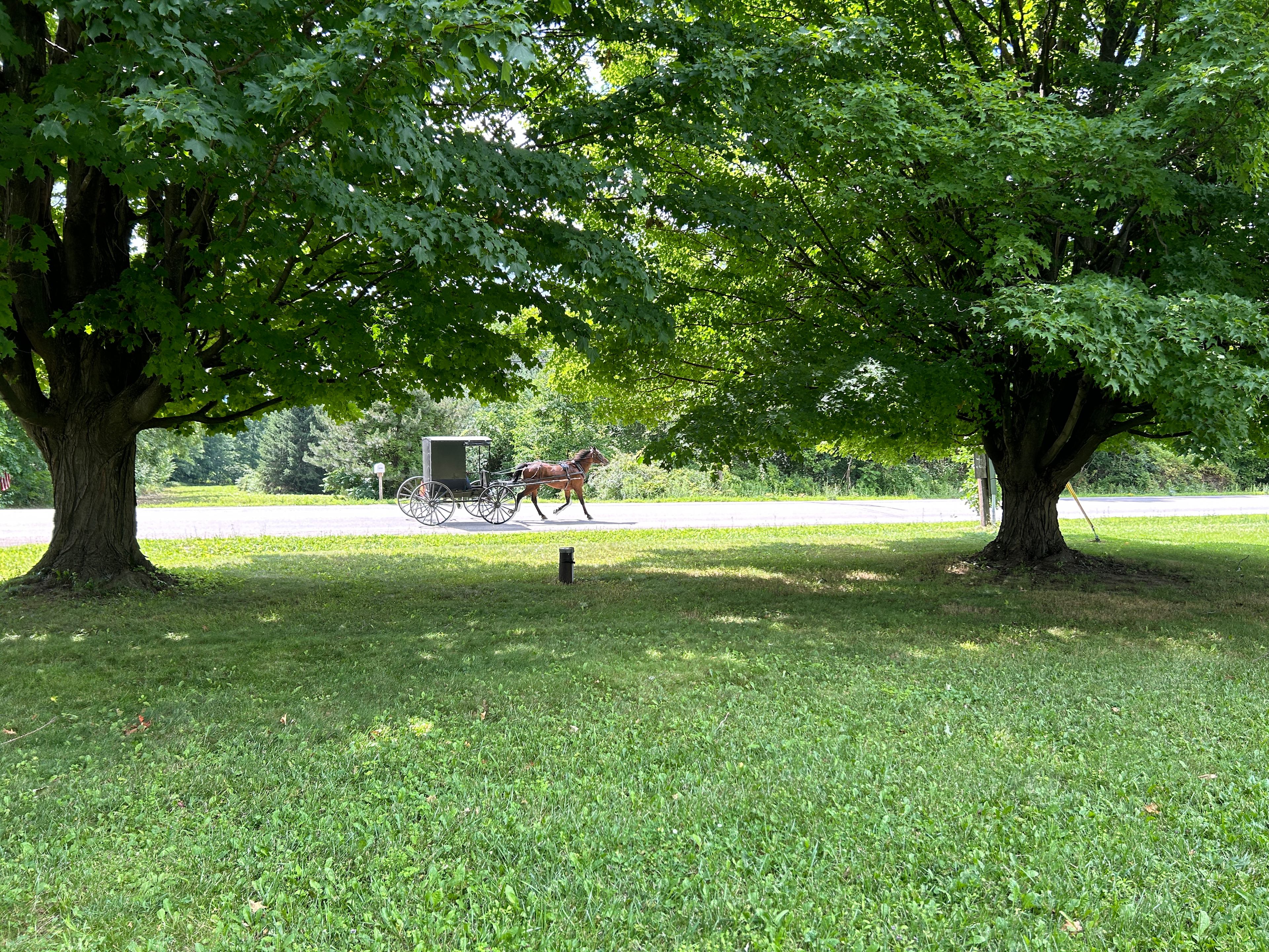 Klip Klop Buggy Watch