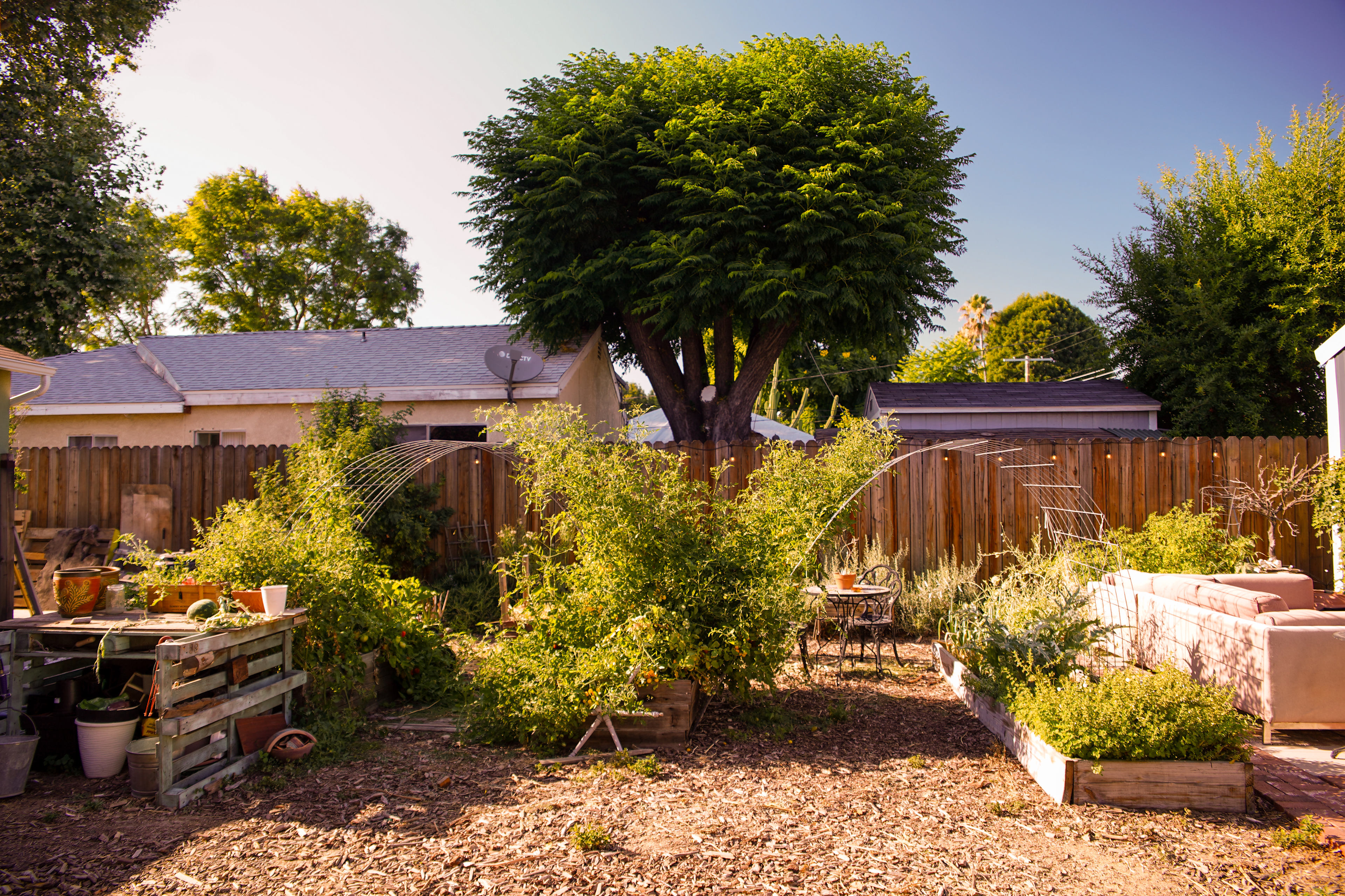 Garden
