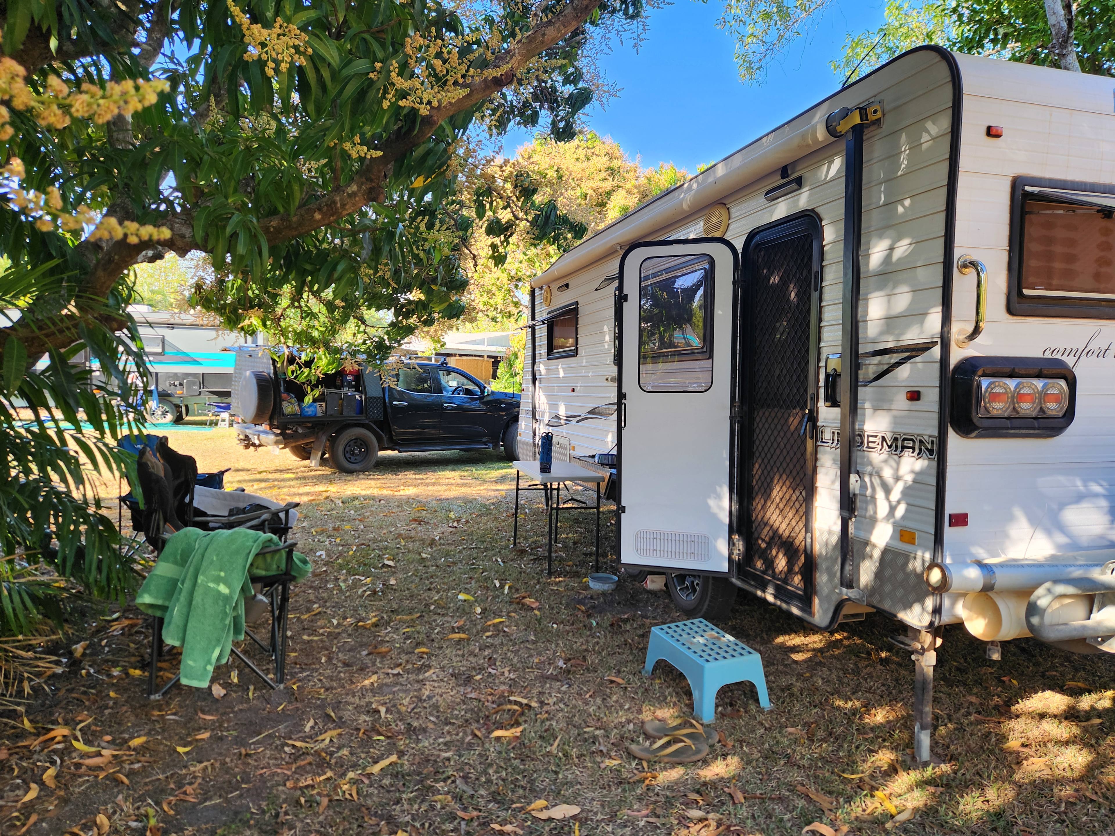 Under the Mangoes 🥭