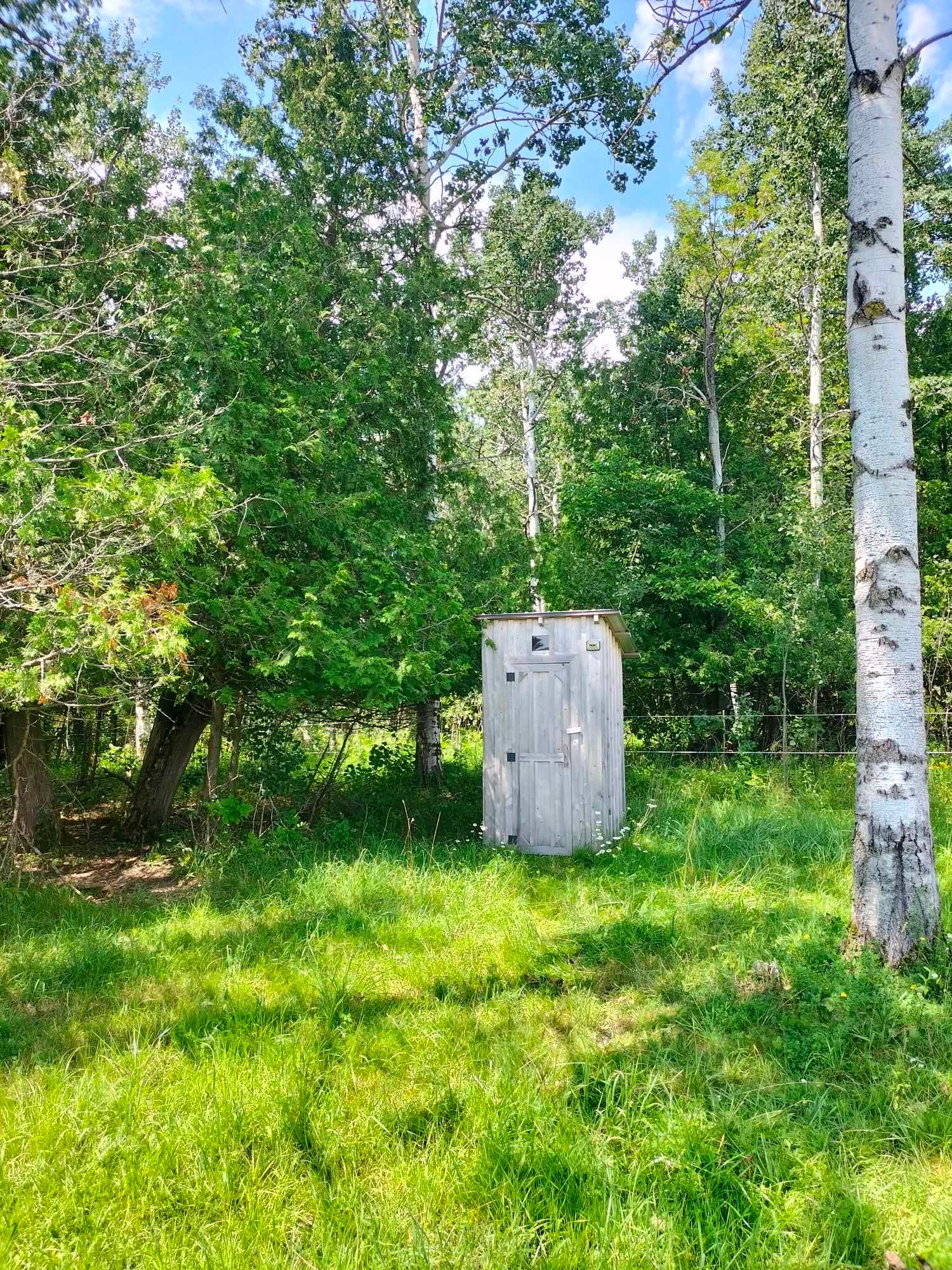 Horse pasture bunkie