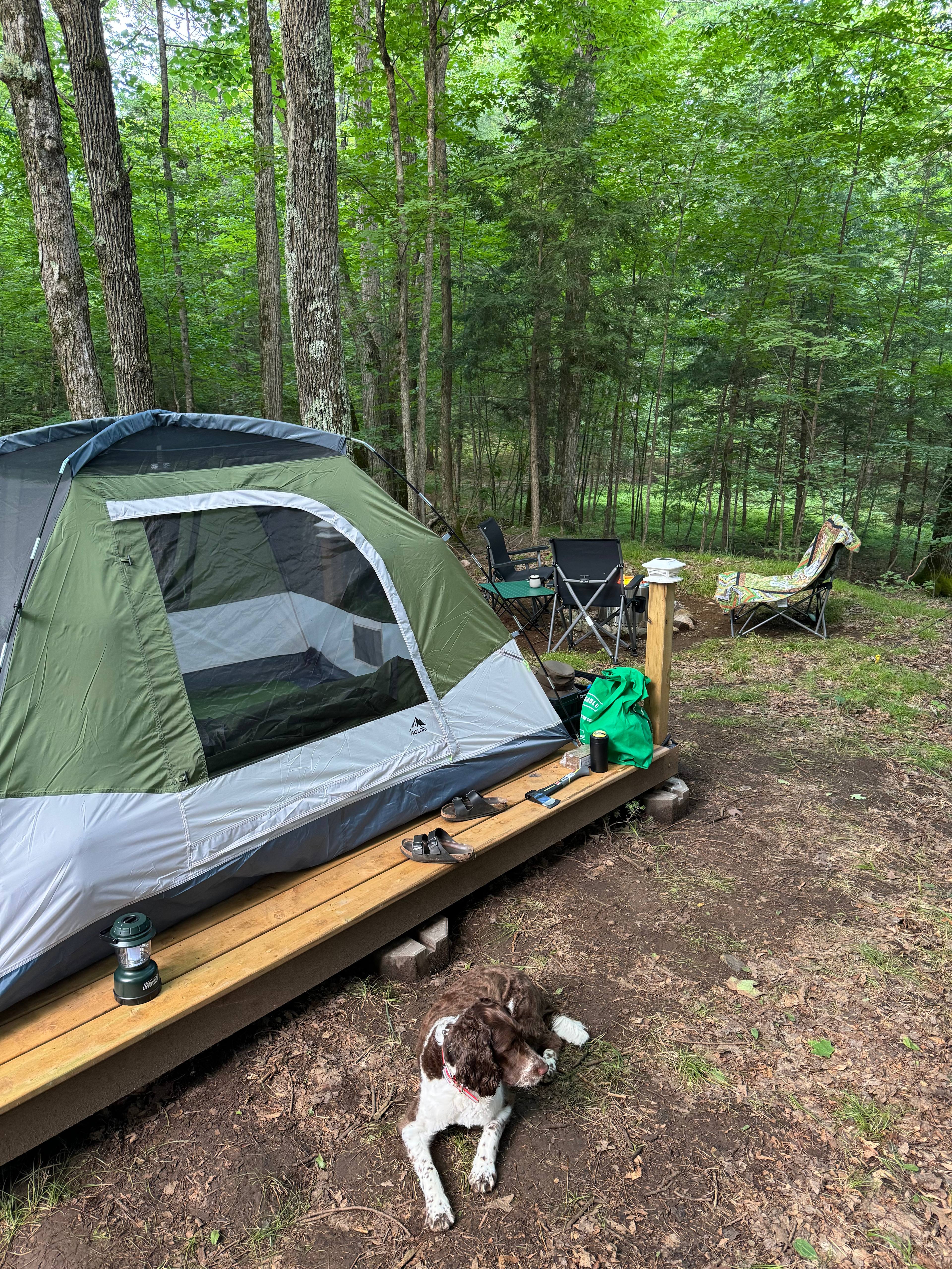 Wilderness Trails At Sumac