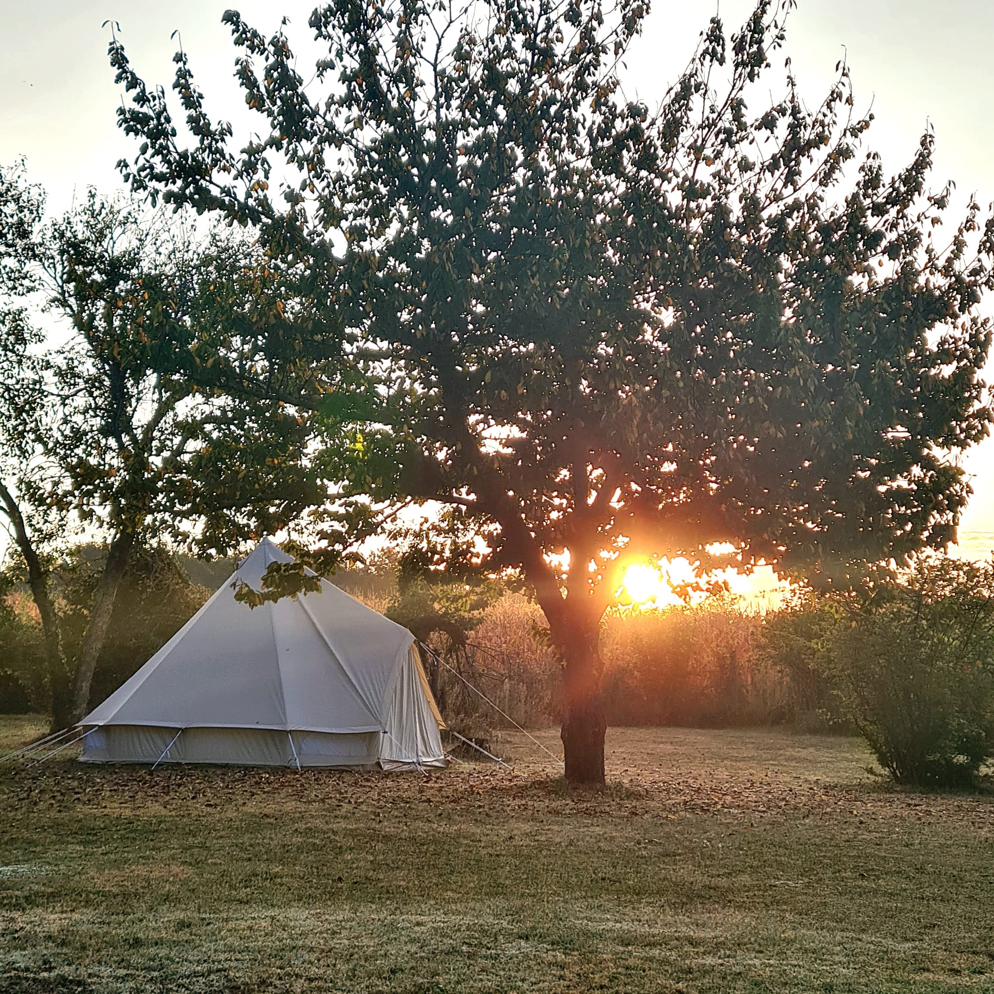 Camping Chez Philipaud