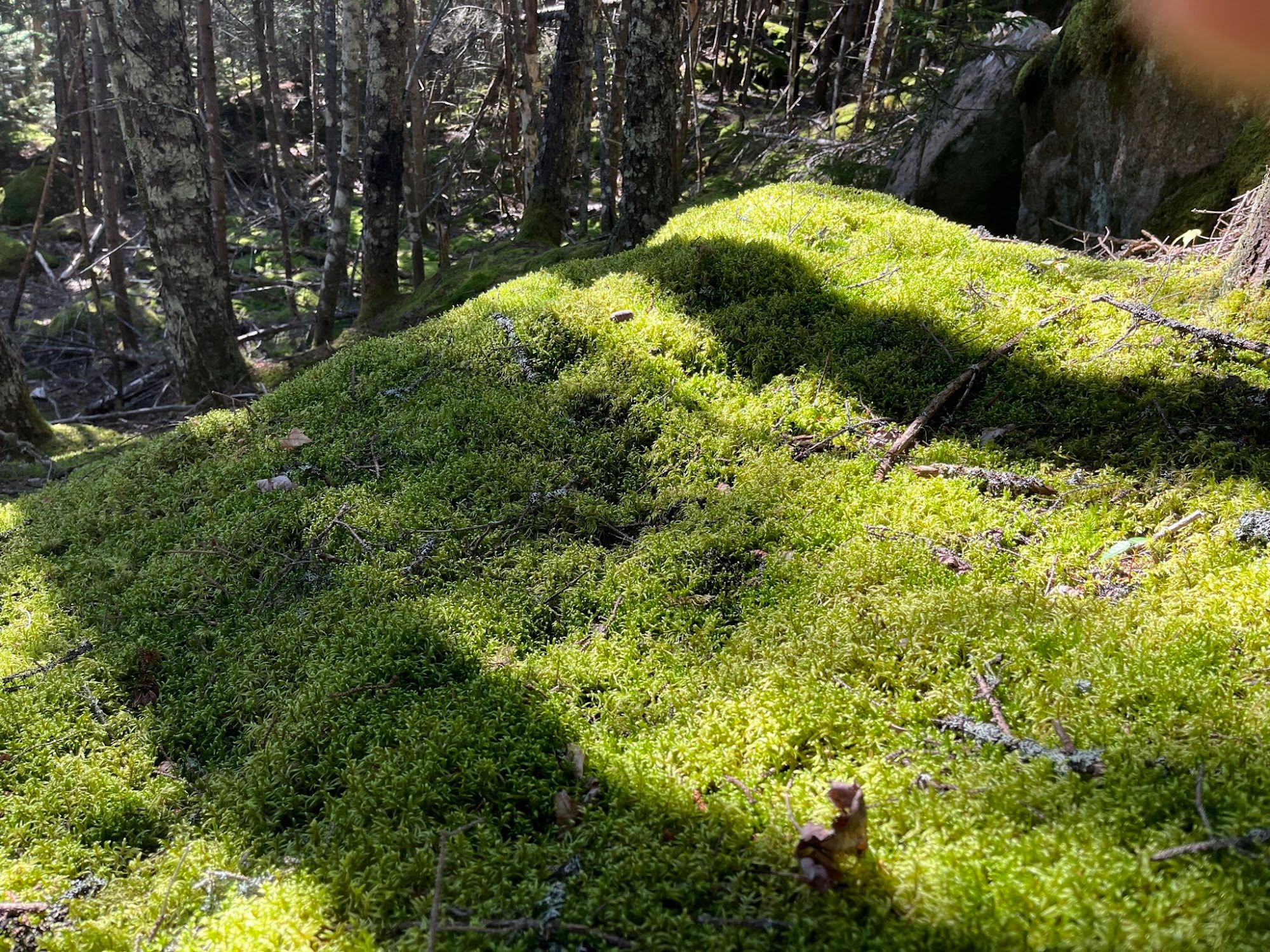 Tom's Retreat on Gardner Lake