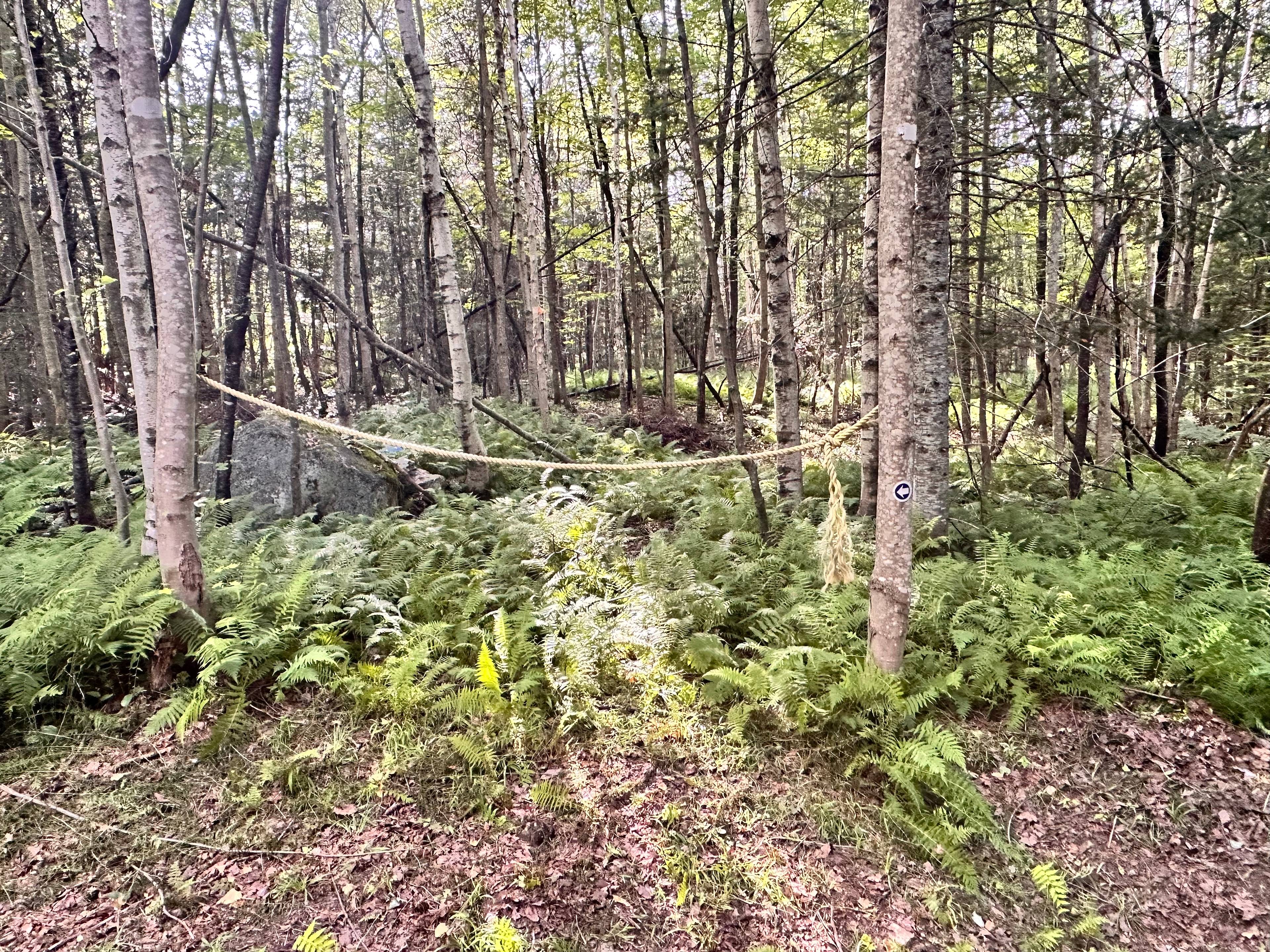 Burlwood Camping