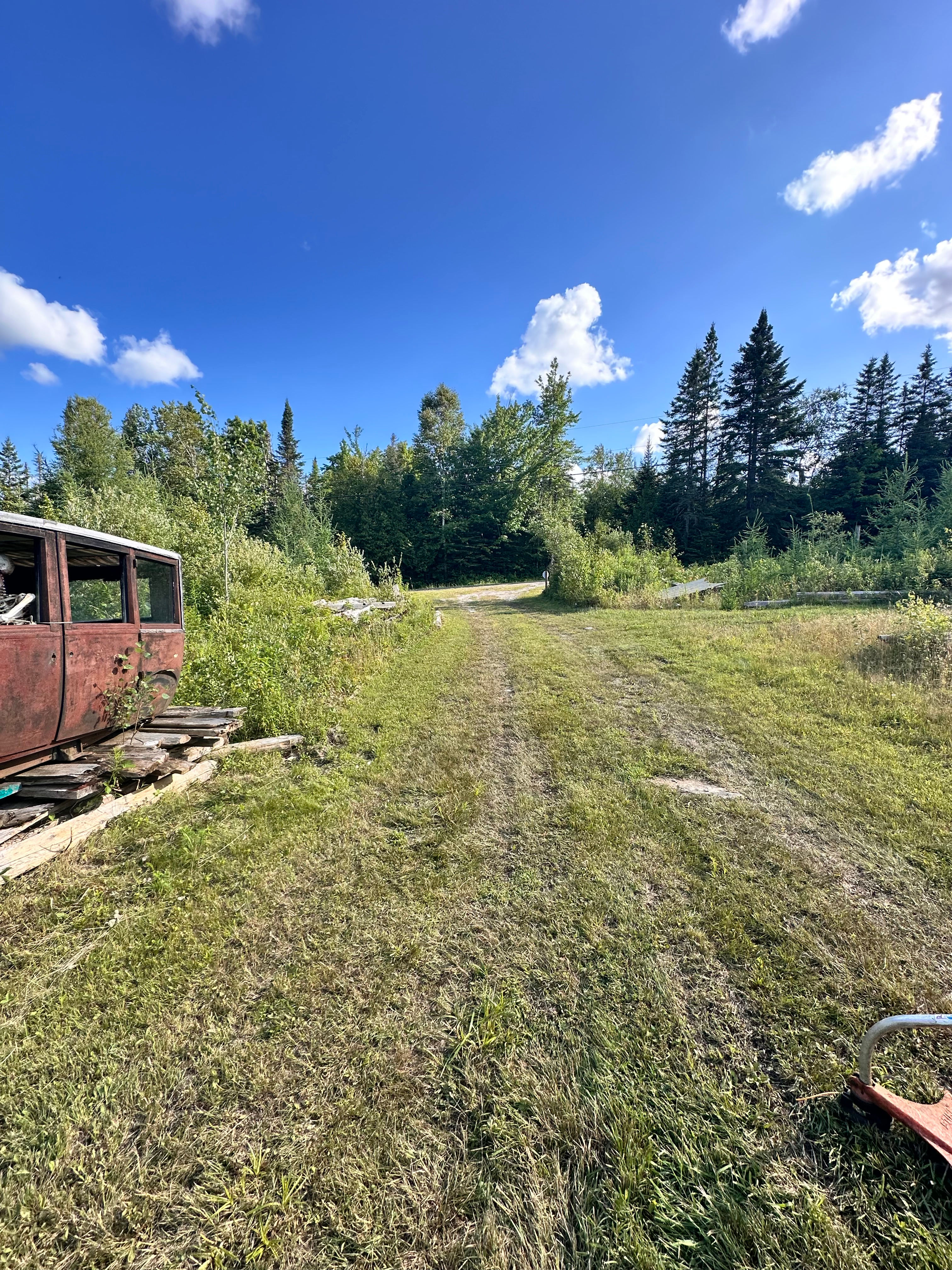 The view from the camp driveway looking out to the road. 