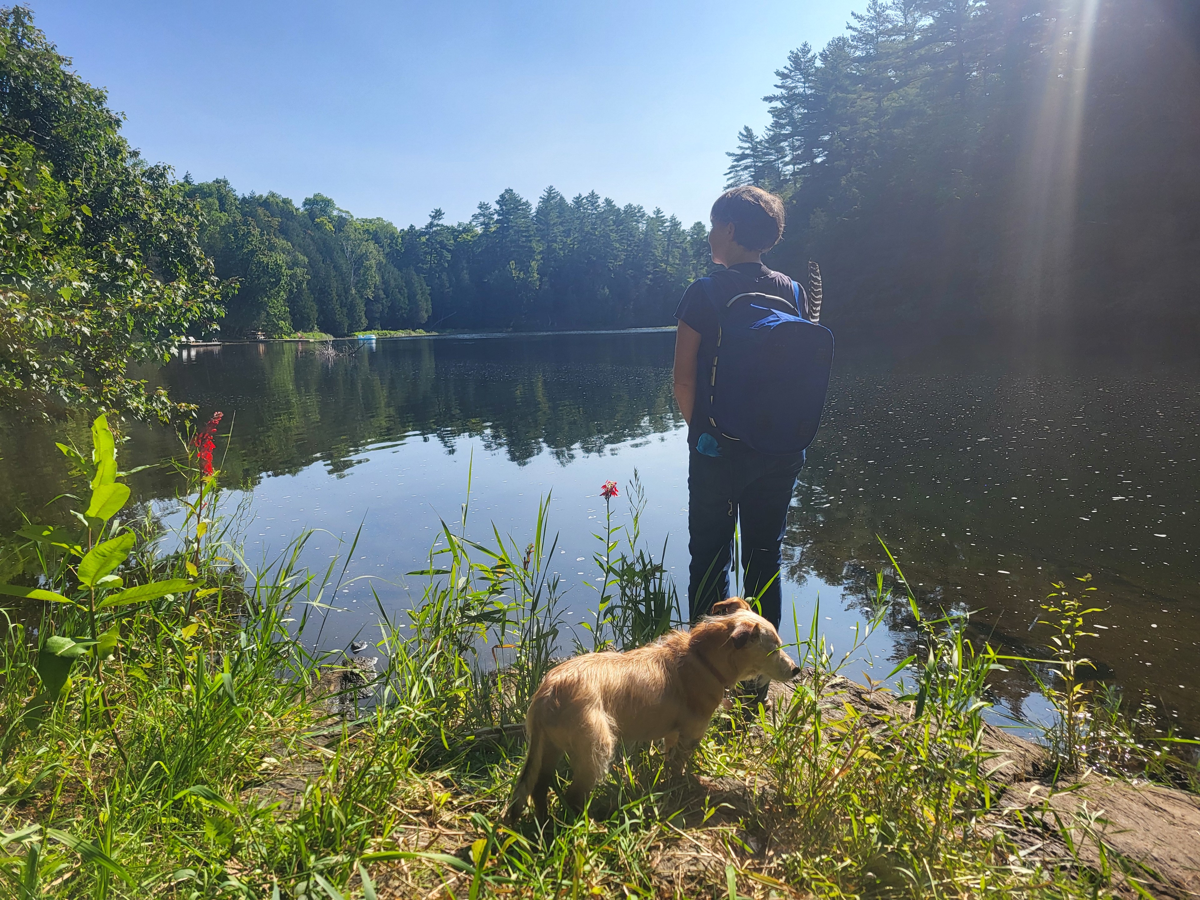 Tiny Village Bon Echo - Camping