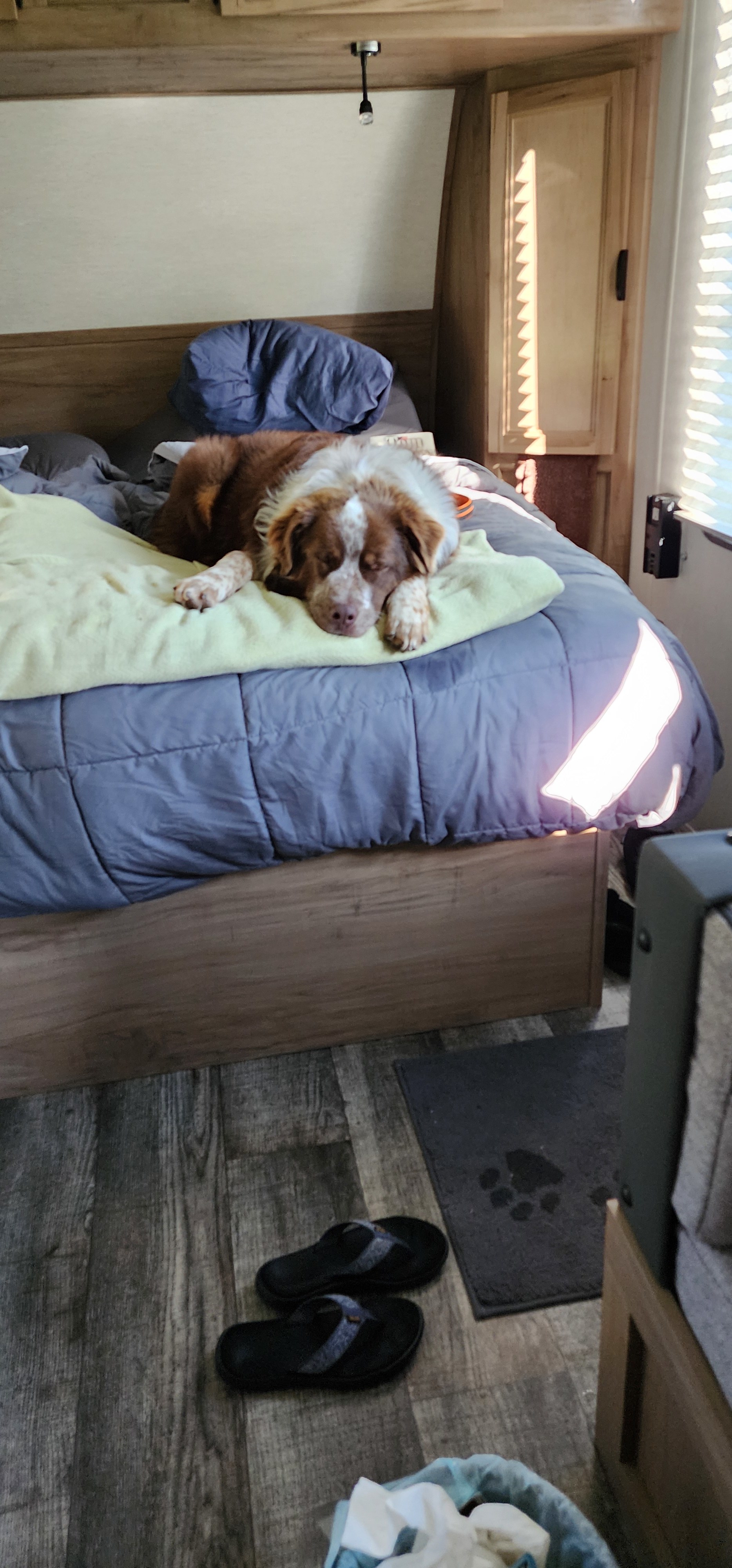 Happy at Our Vision Farm. Max loves Beatrice and her family!