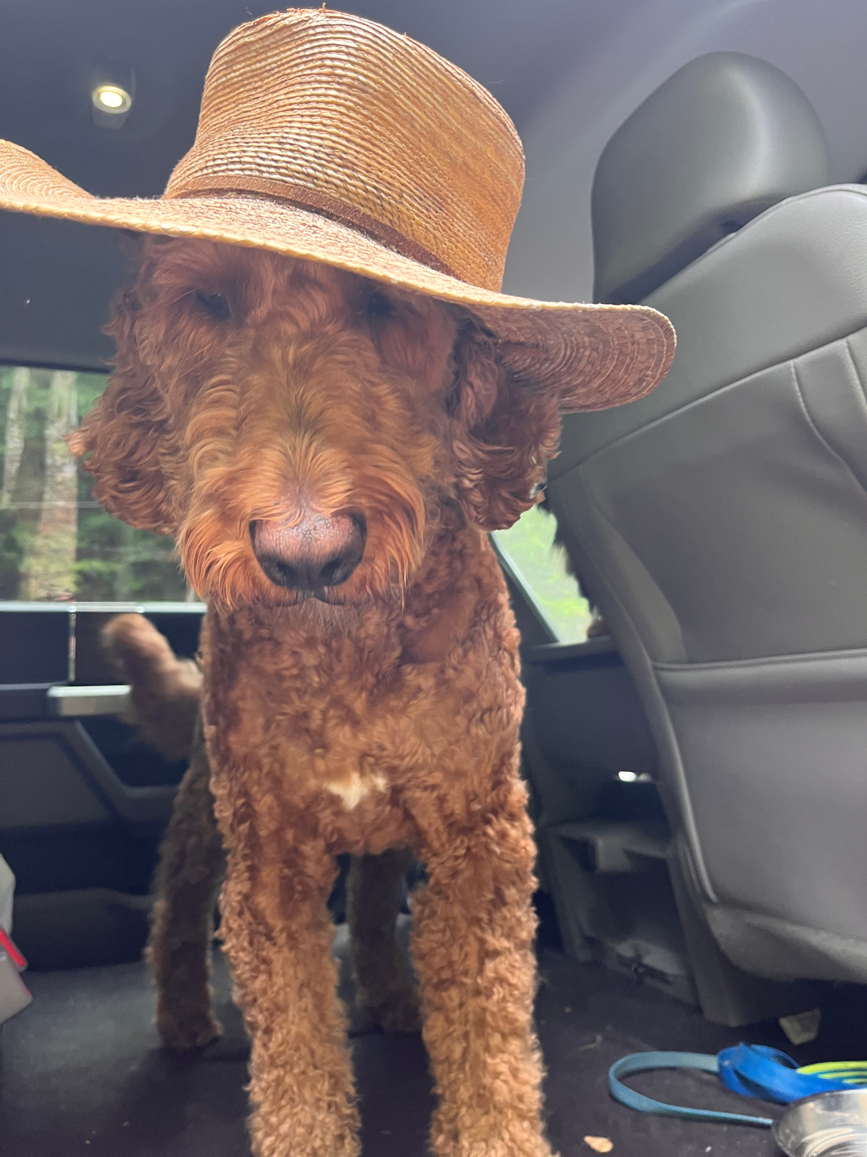 Hazel has her fishing hat on.