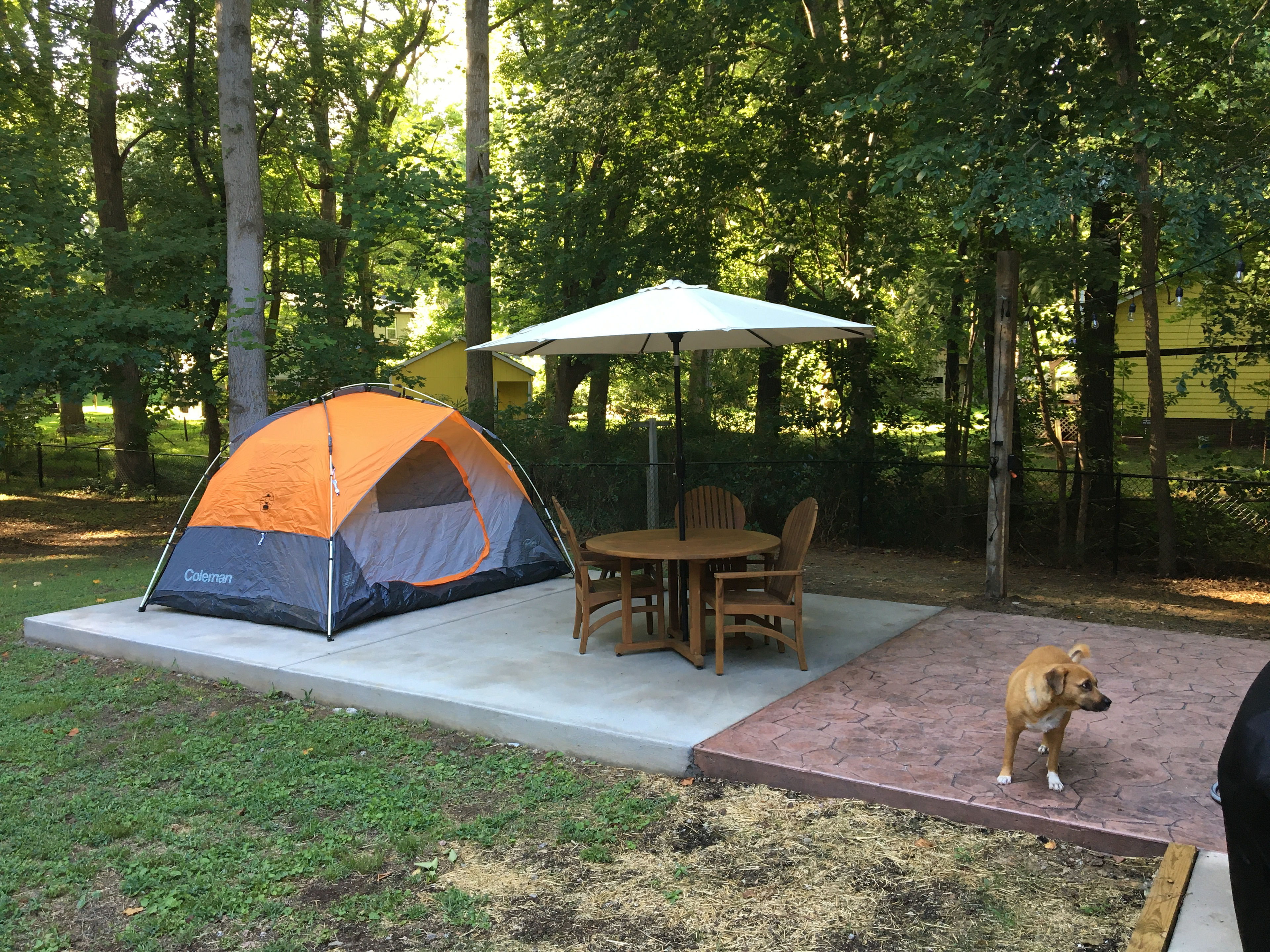 MINI 105 WOODS RUN URBAN CAMPING