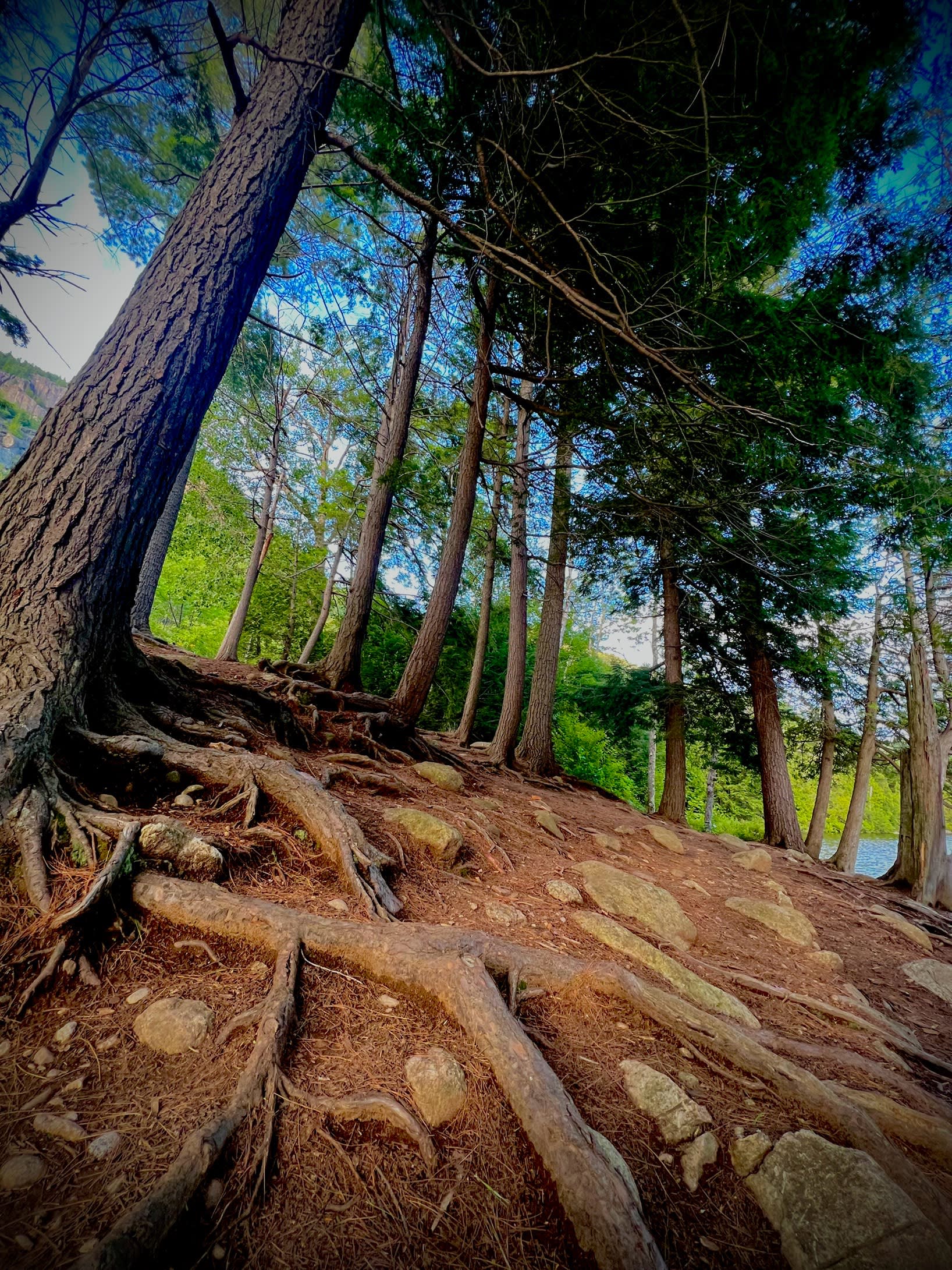 High Peaks Adirondack River Camp