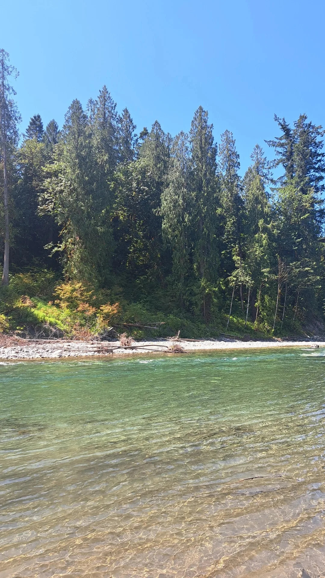 Living Large on Chilliwack River