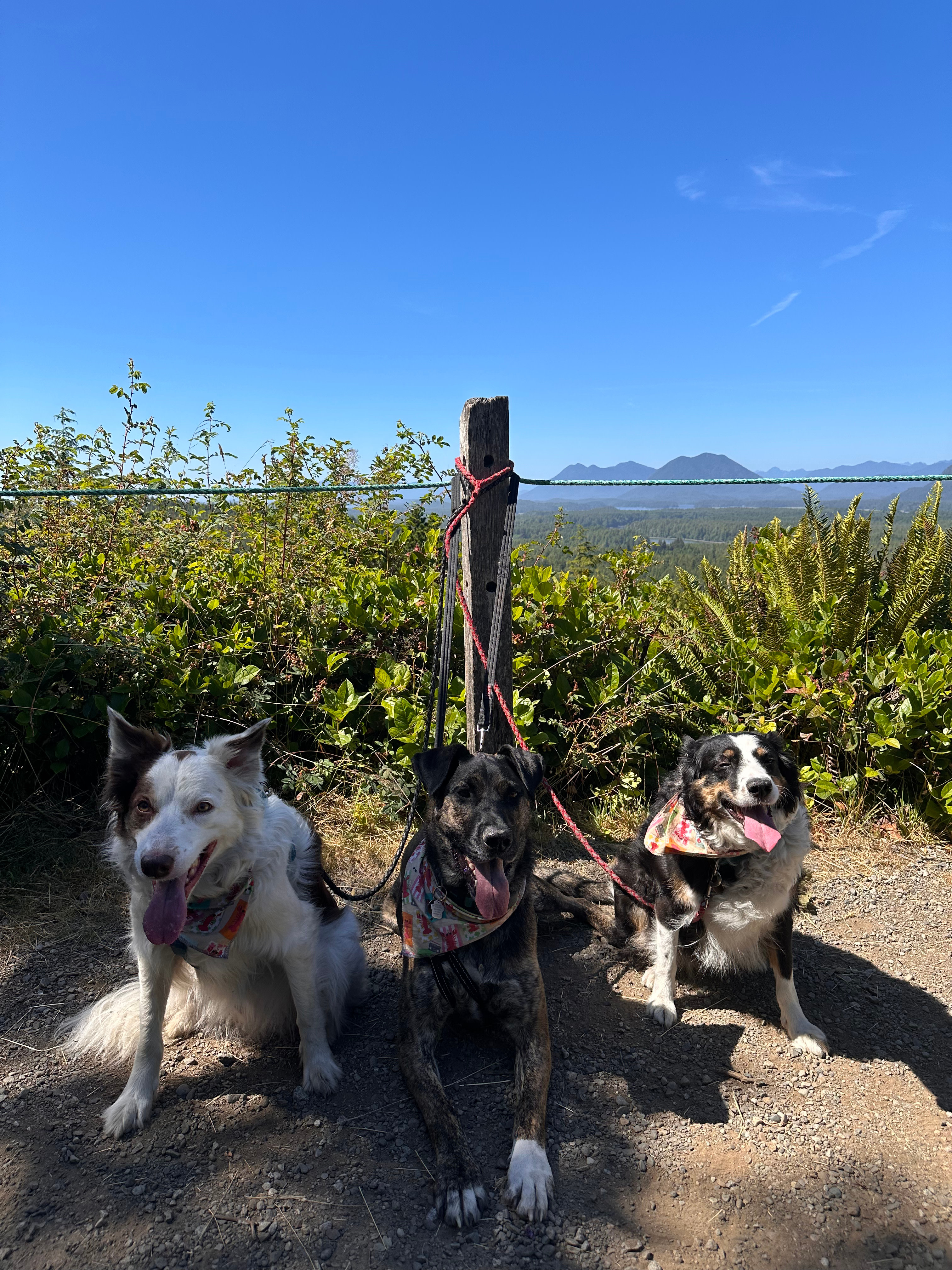 Radar Hill is located nearby and provides stunning accessible views. 
