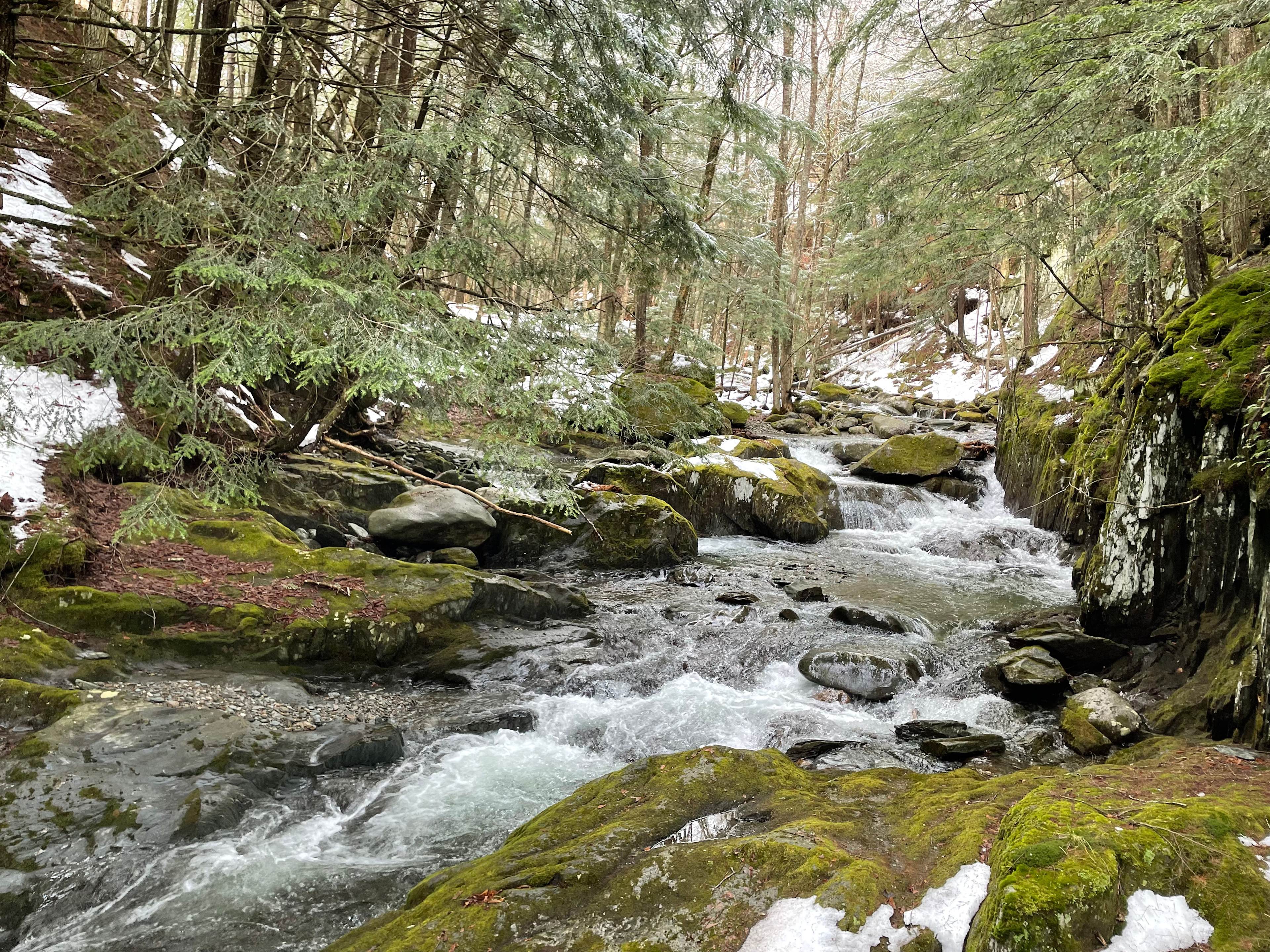 The Hollow at Dynamite Falls