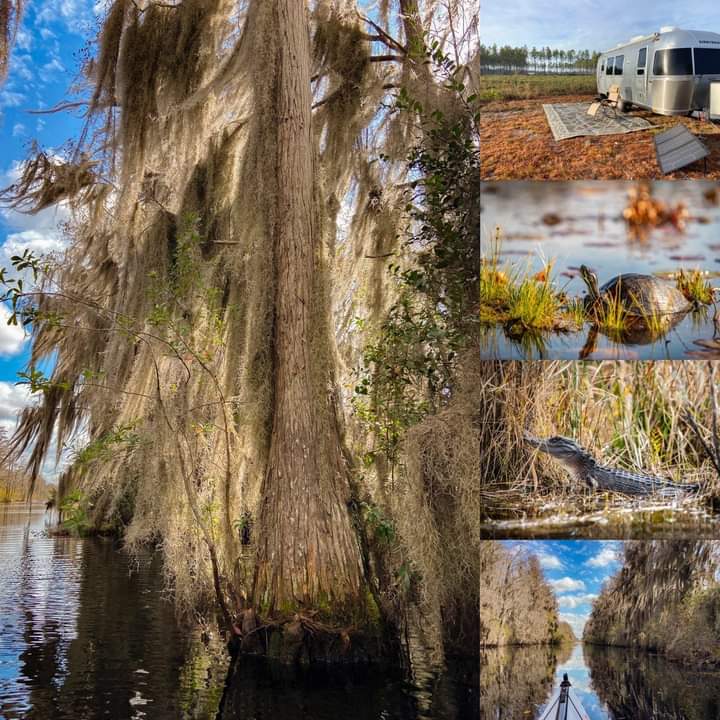 Visit the Okefenokee National Refuge and the Okefenokee Swamp park during your stay.