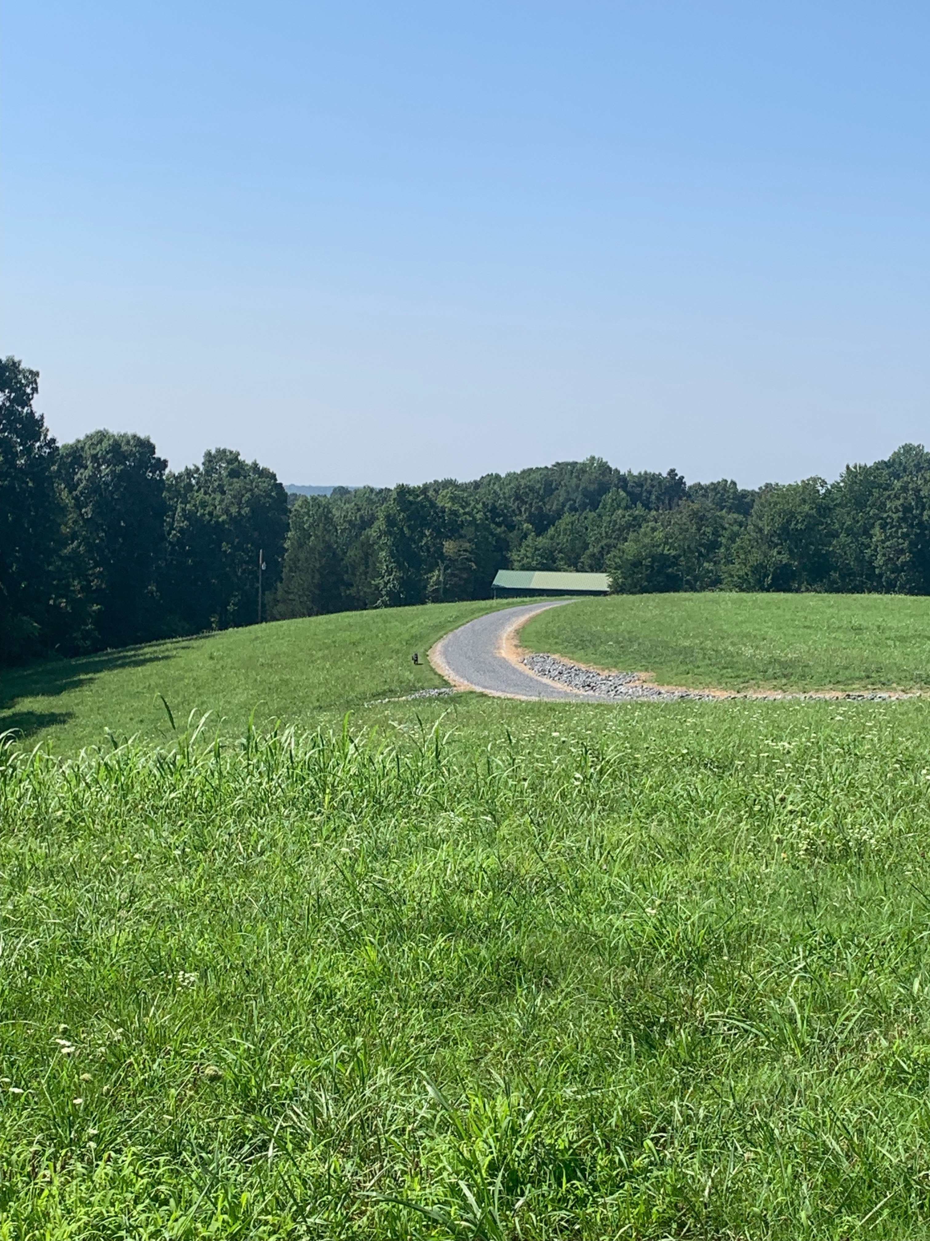 The Big Easy Cabin TN Style