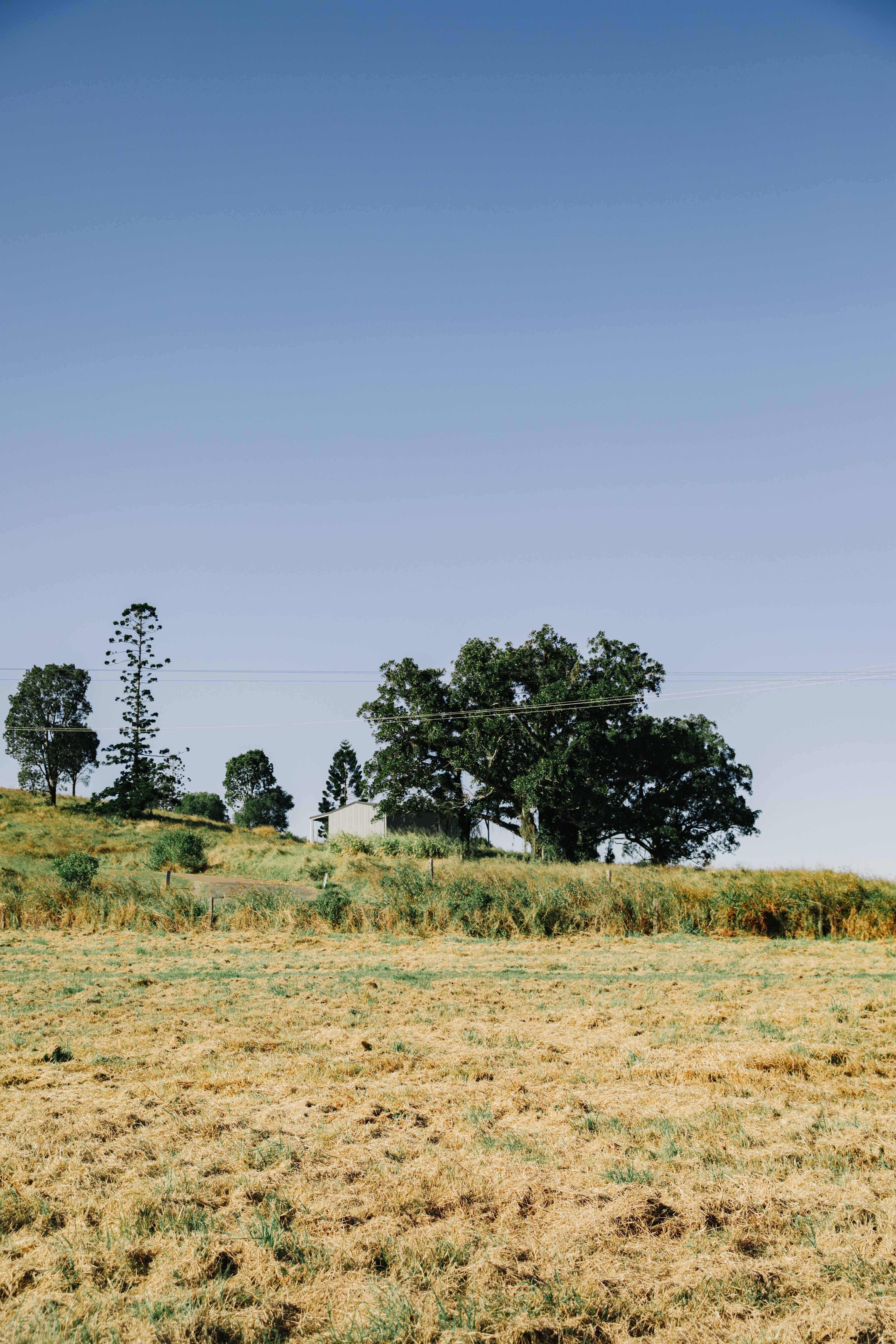 Little Red Tractor Farm