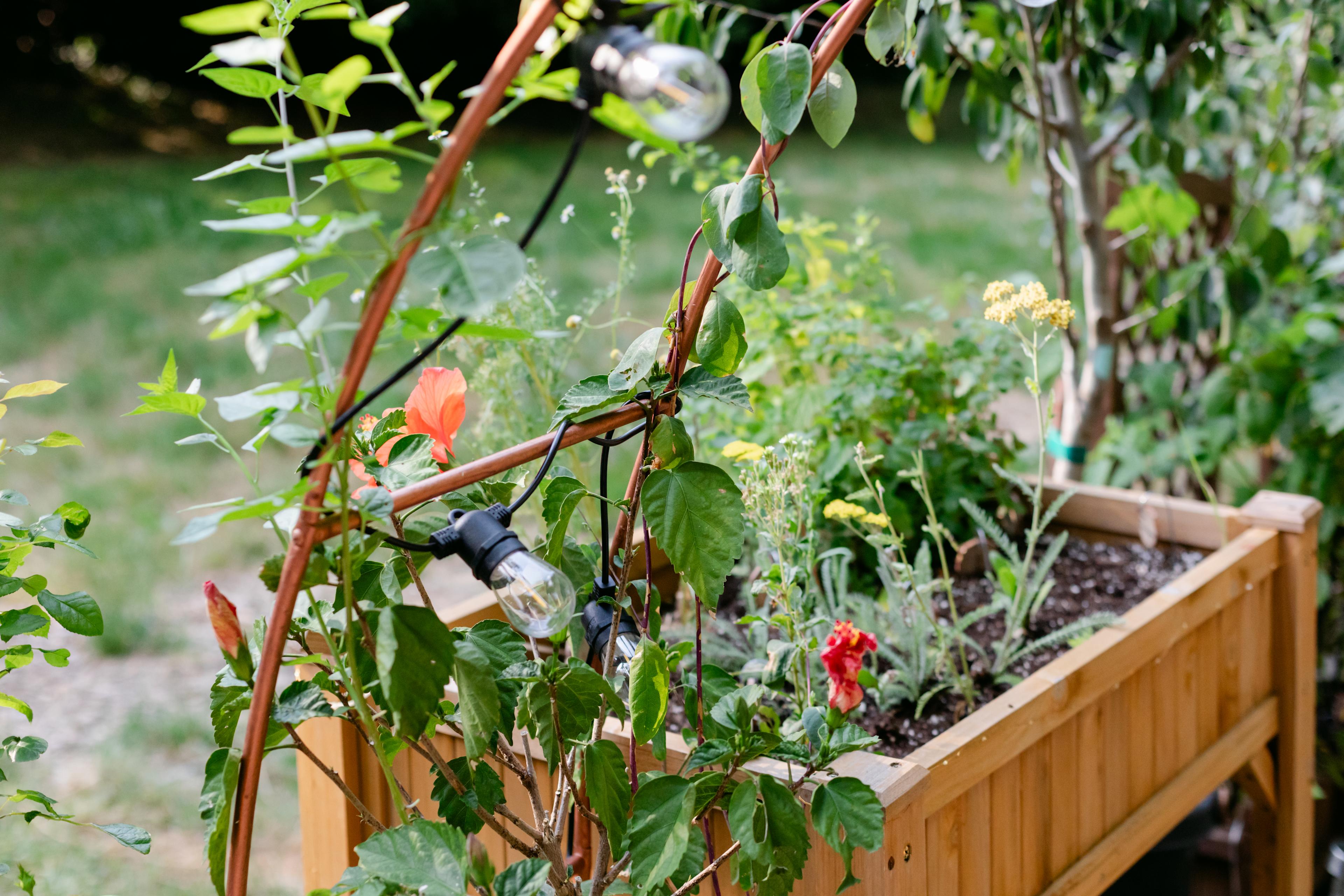 A beautiful, organic garden next to the campsite.