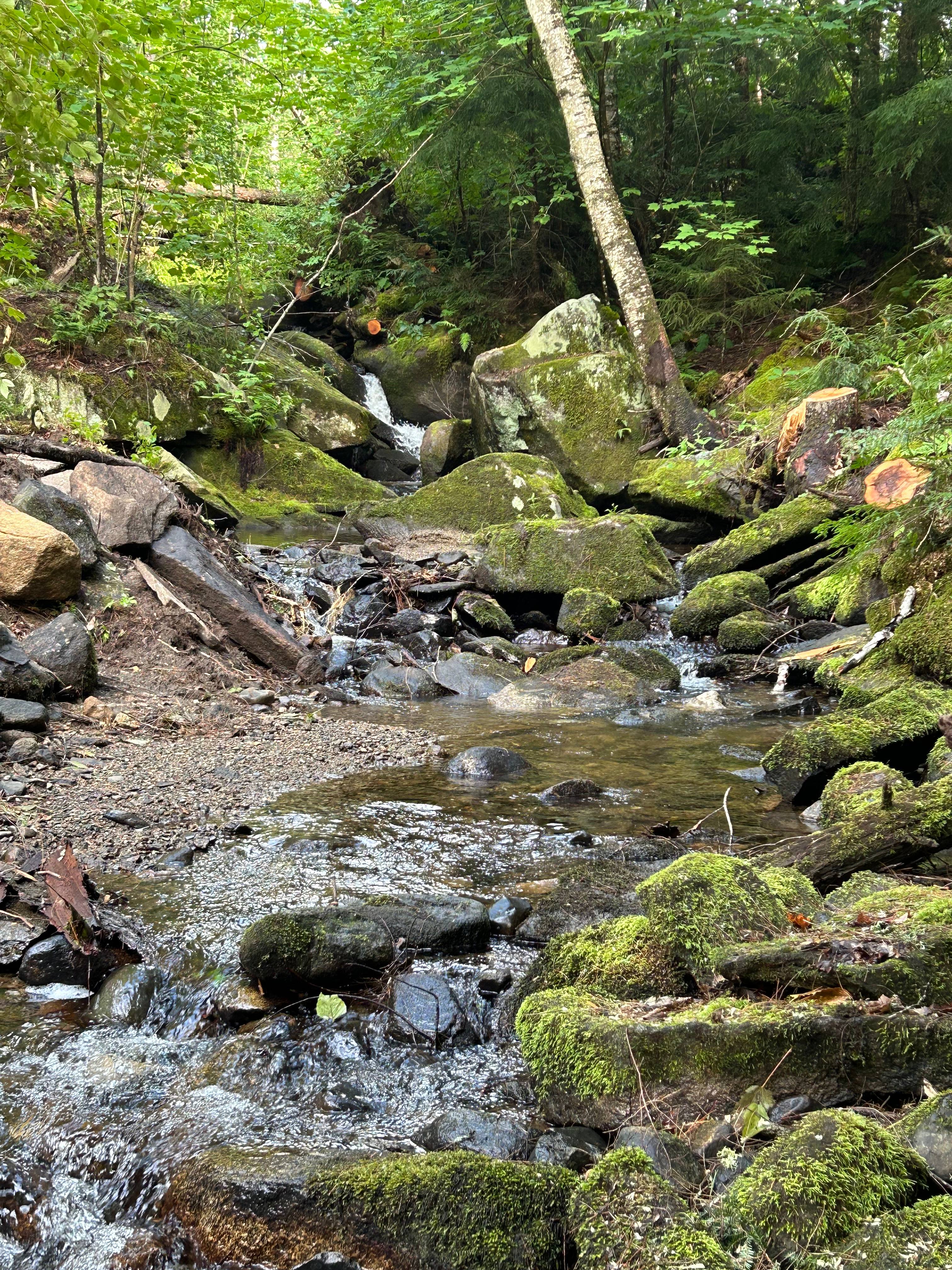 Dugout HideAway@ Granny Clark Brook