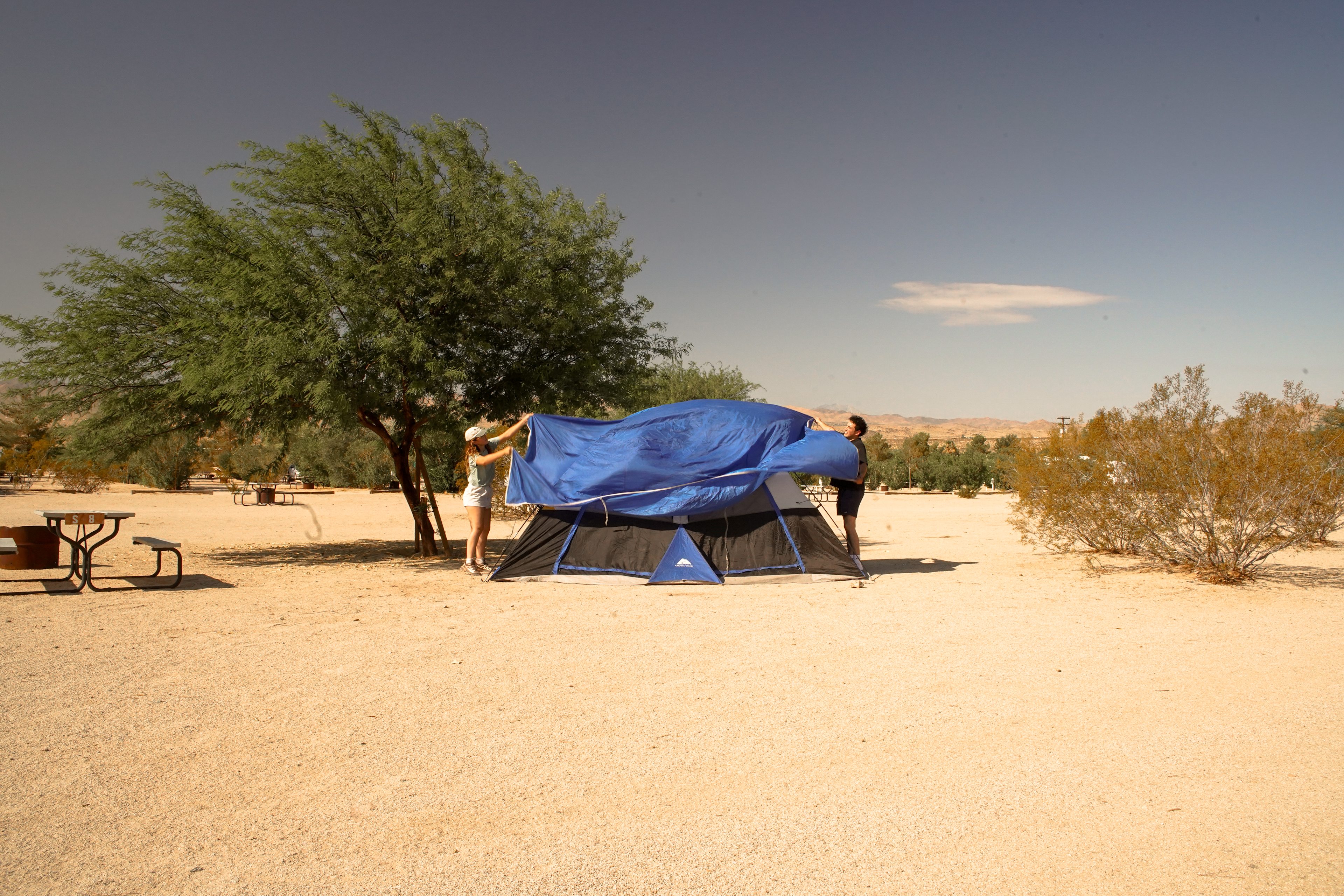 Joshua Tree Lake RV & Campground