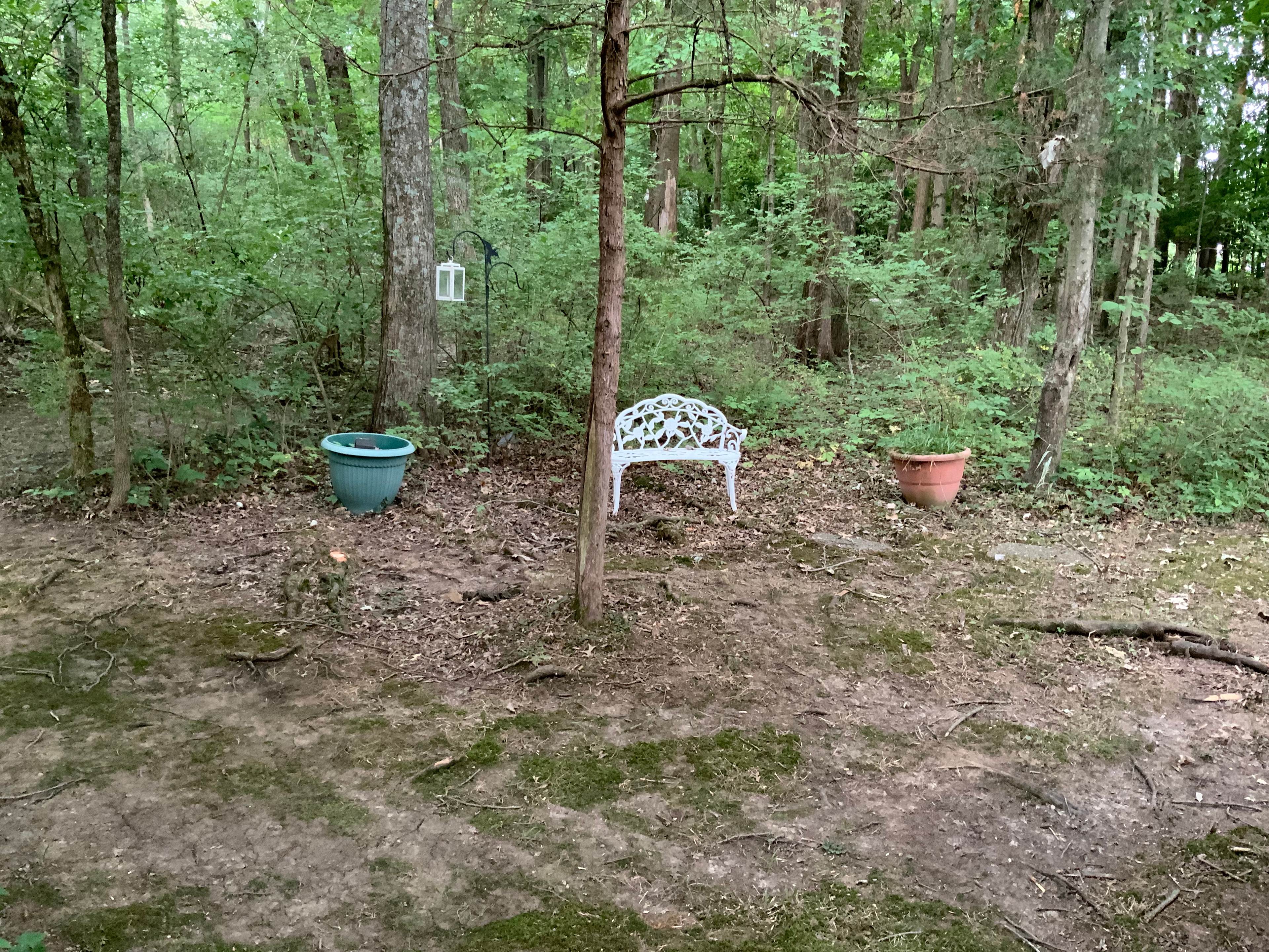 Second Creek Trails