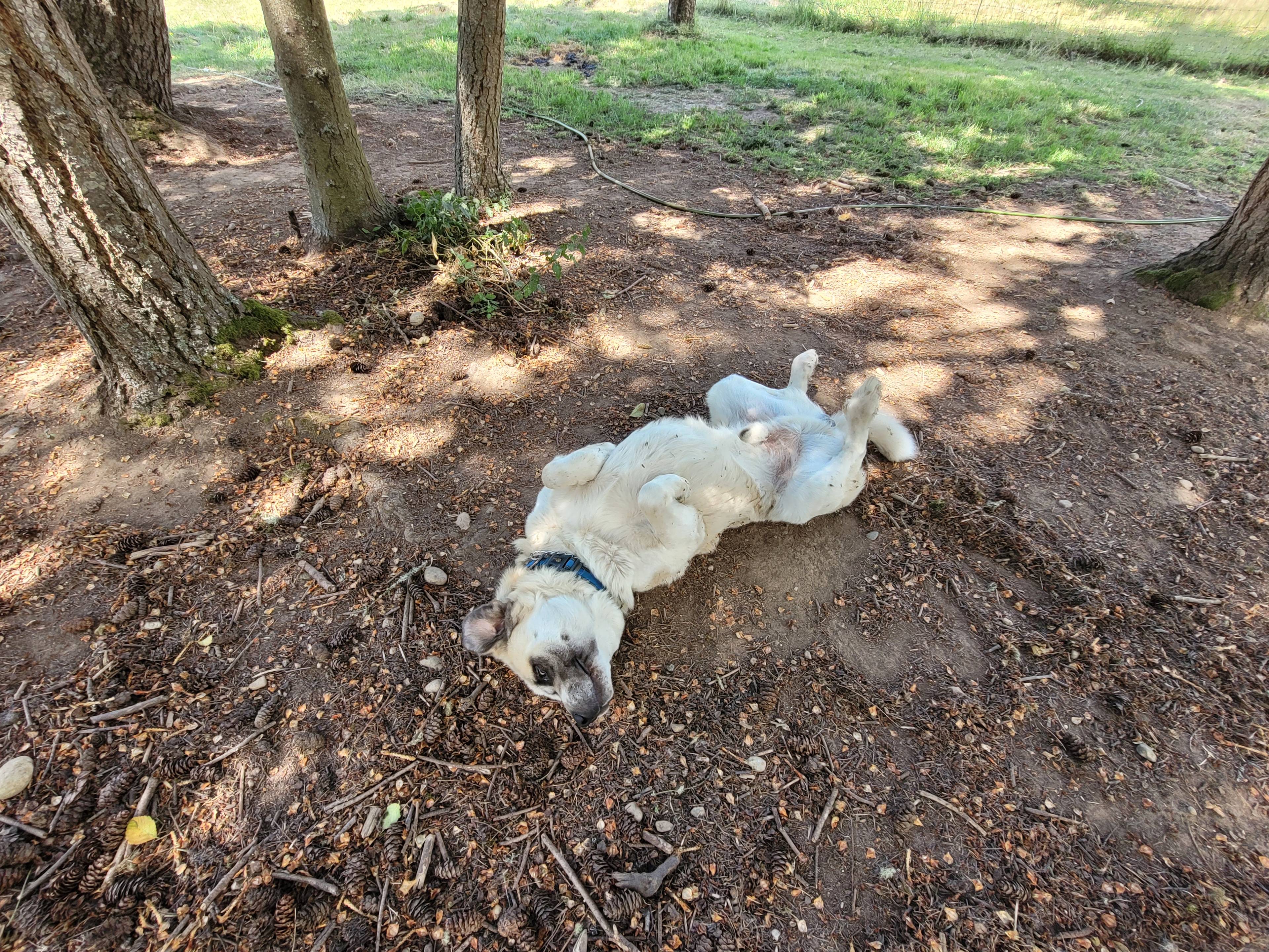 Little Creek Ranch