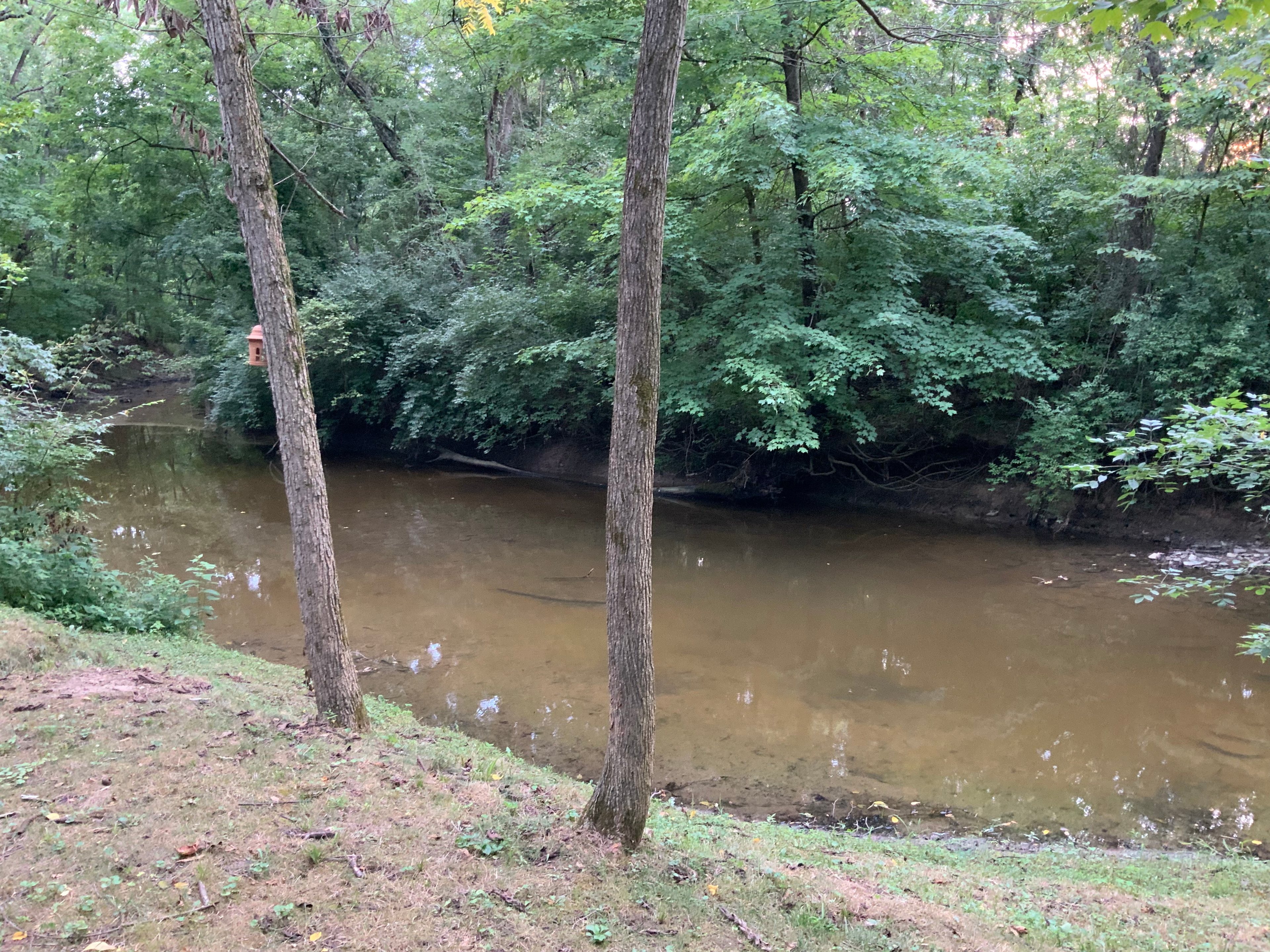 Second Creek Trails