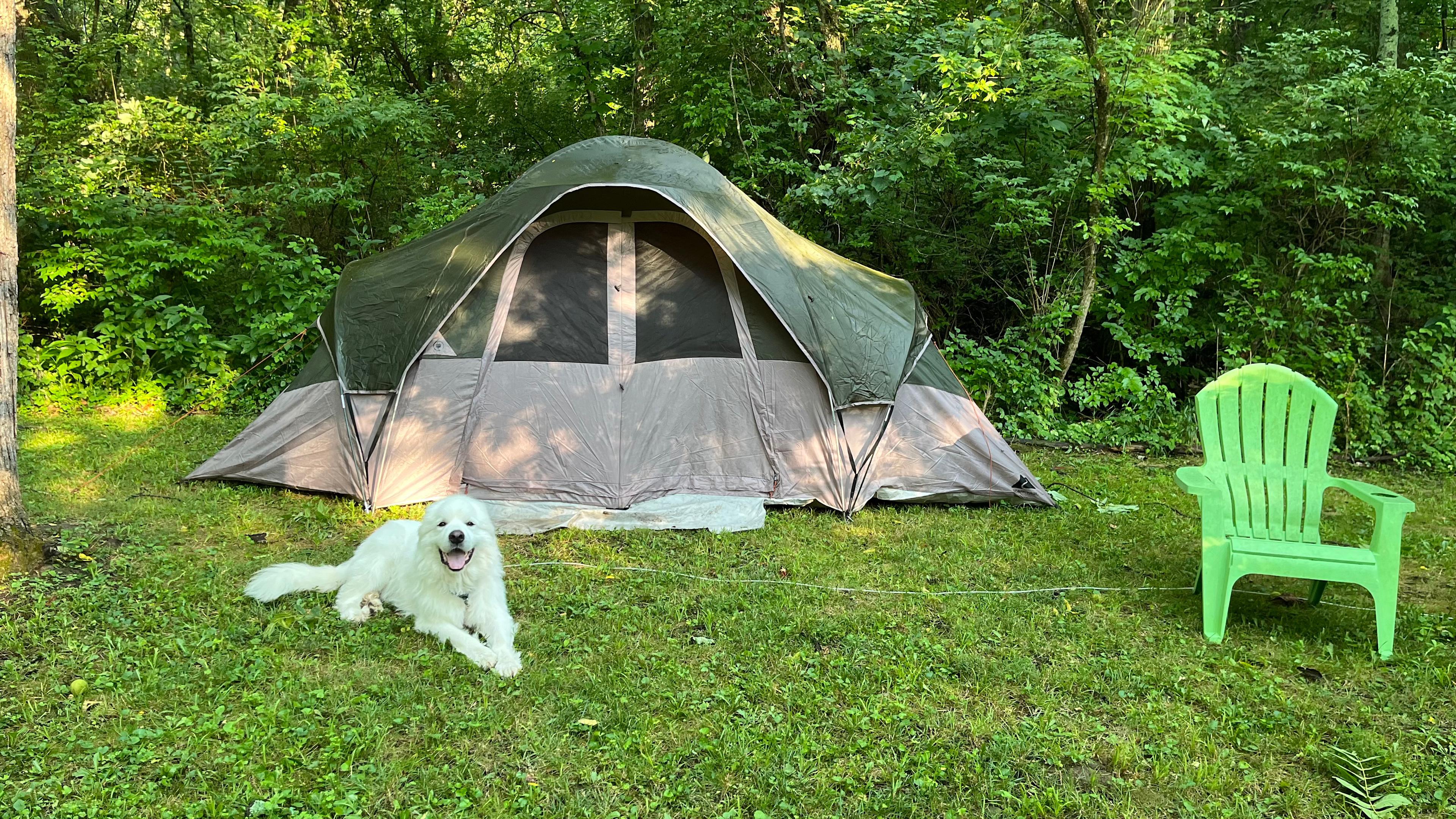 Second Creek Trails