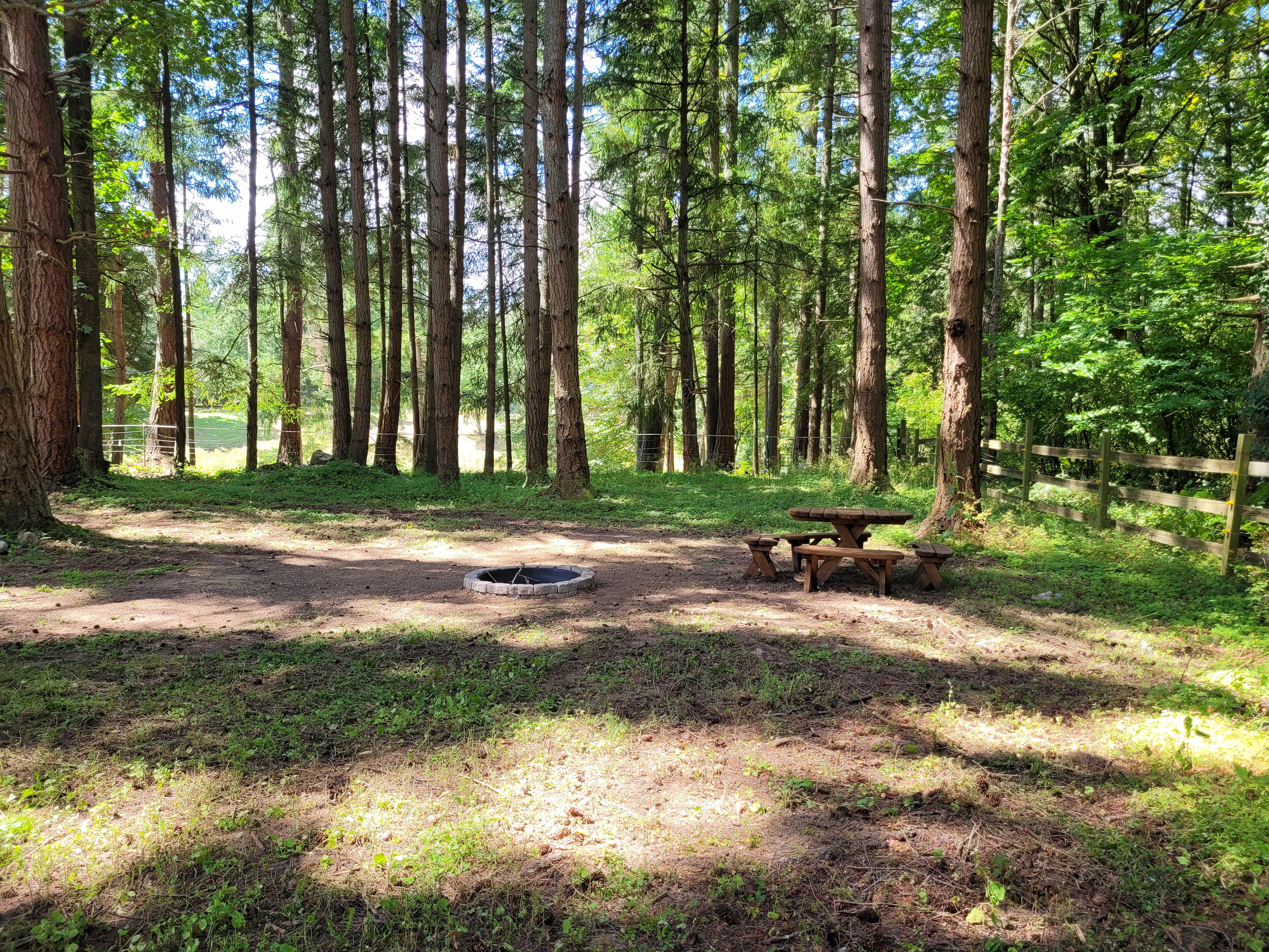 Little Creek Ranch