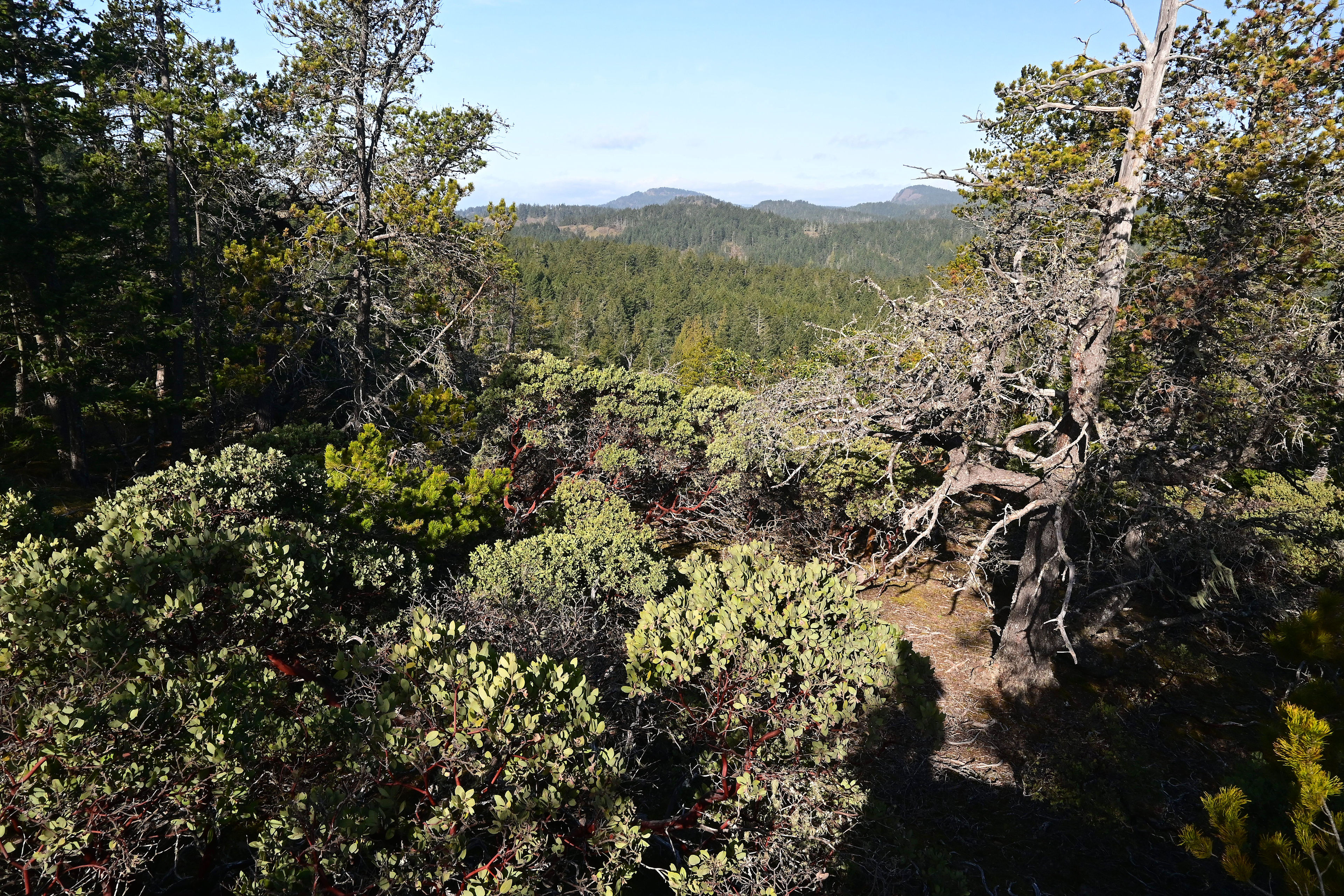 Metchosin is known for its many forested hiking trails.
