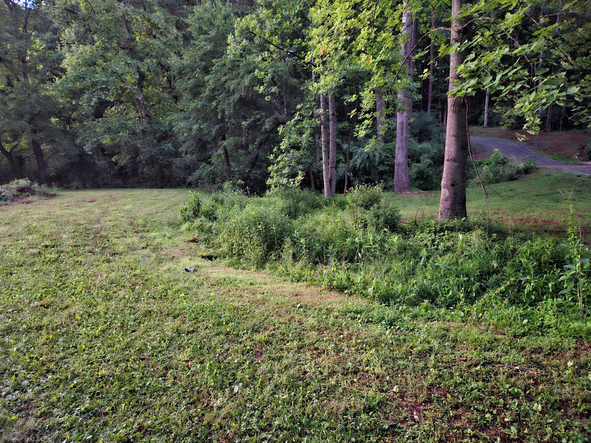 Ridge Crest Hollow and Lake