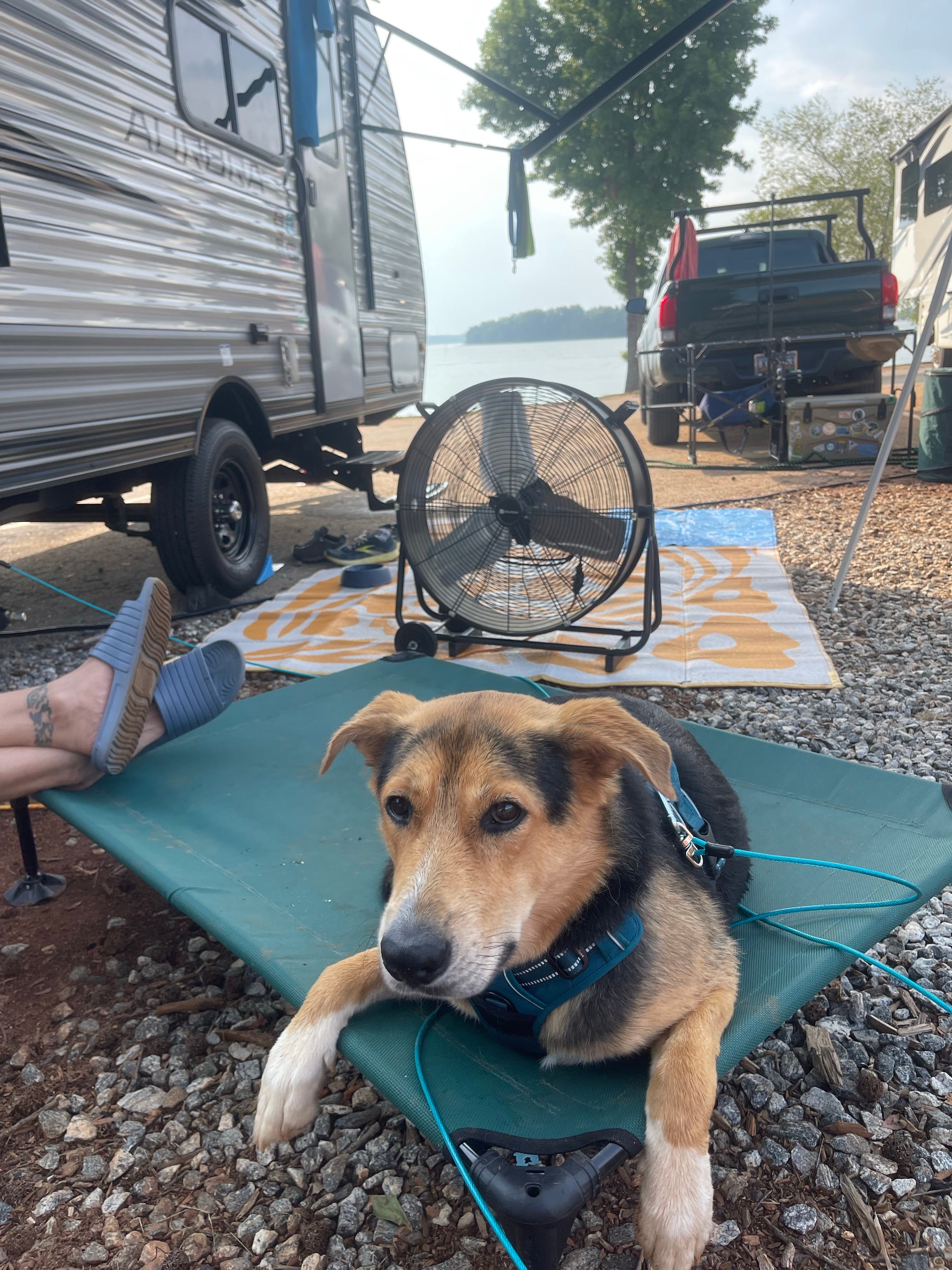 Big Water Marina & Campground