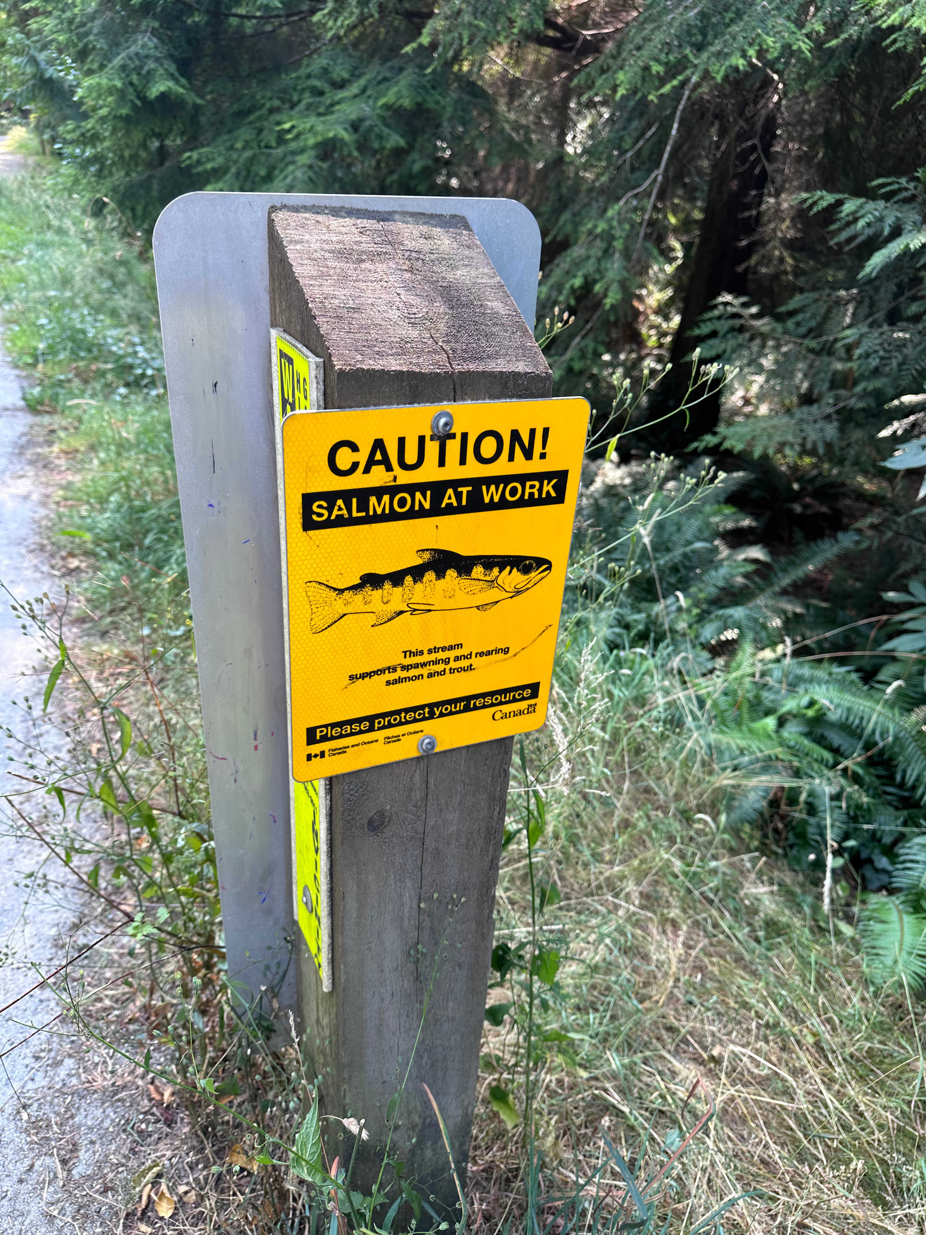 Living the Dream in Roberts Creek