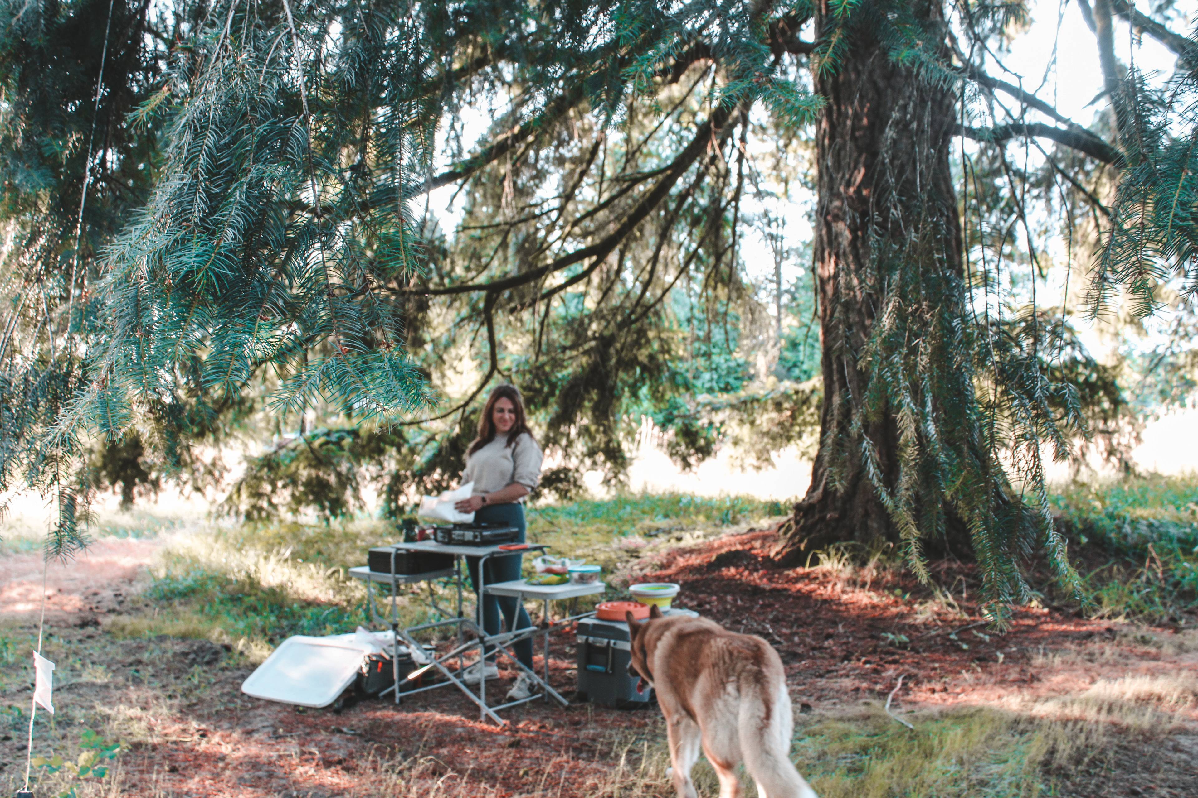 Making Dinner under the nice shaded tree