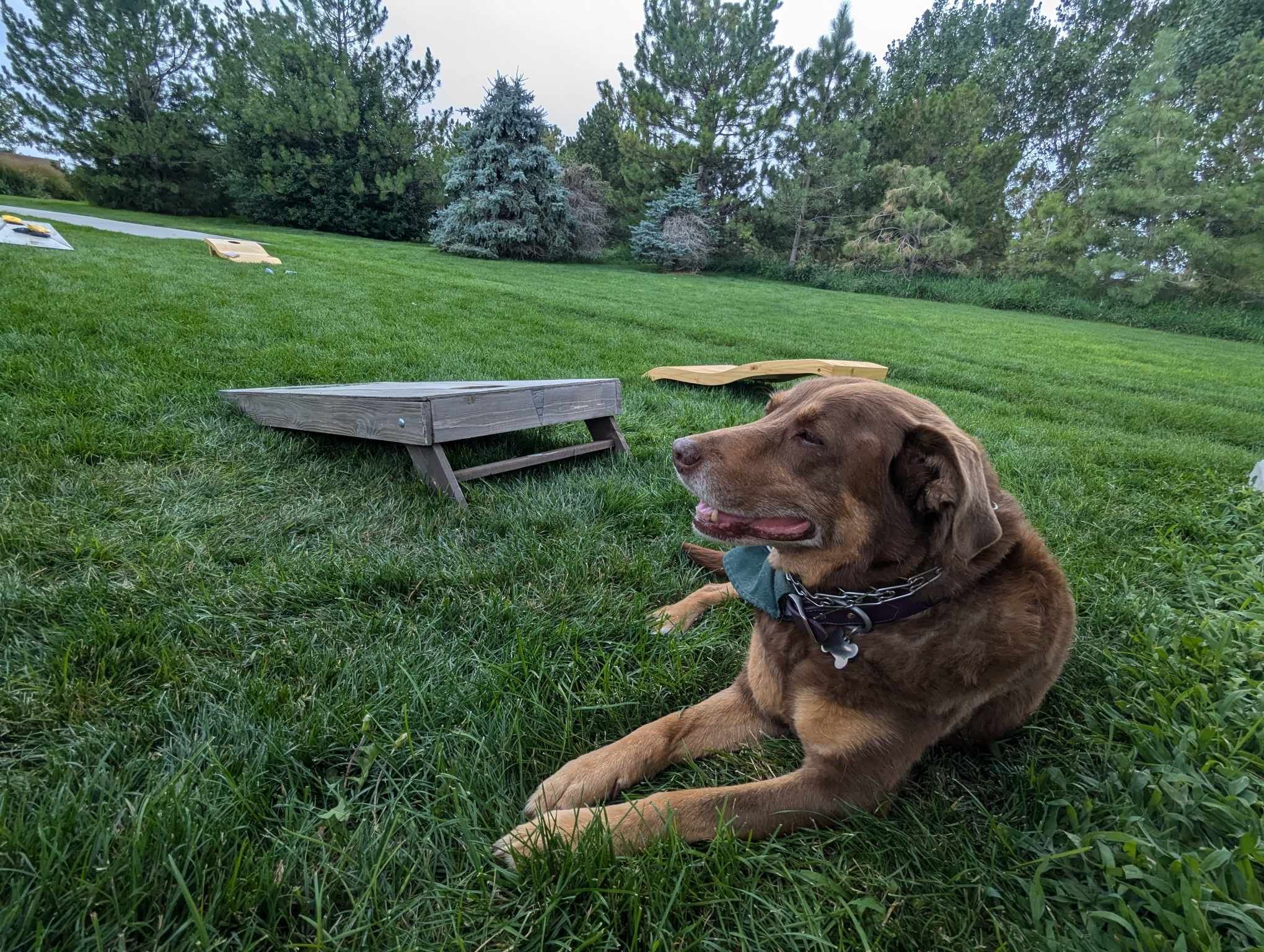 Papa Moon Vineyards Winery Cidery 