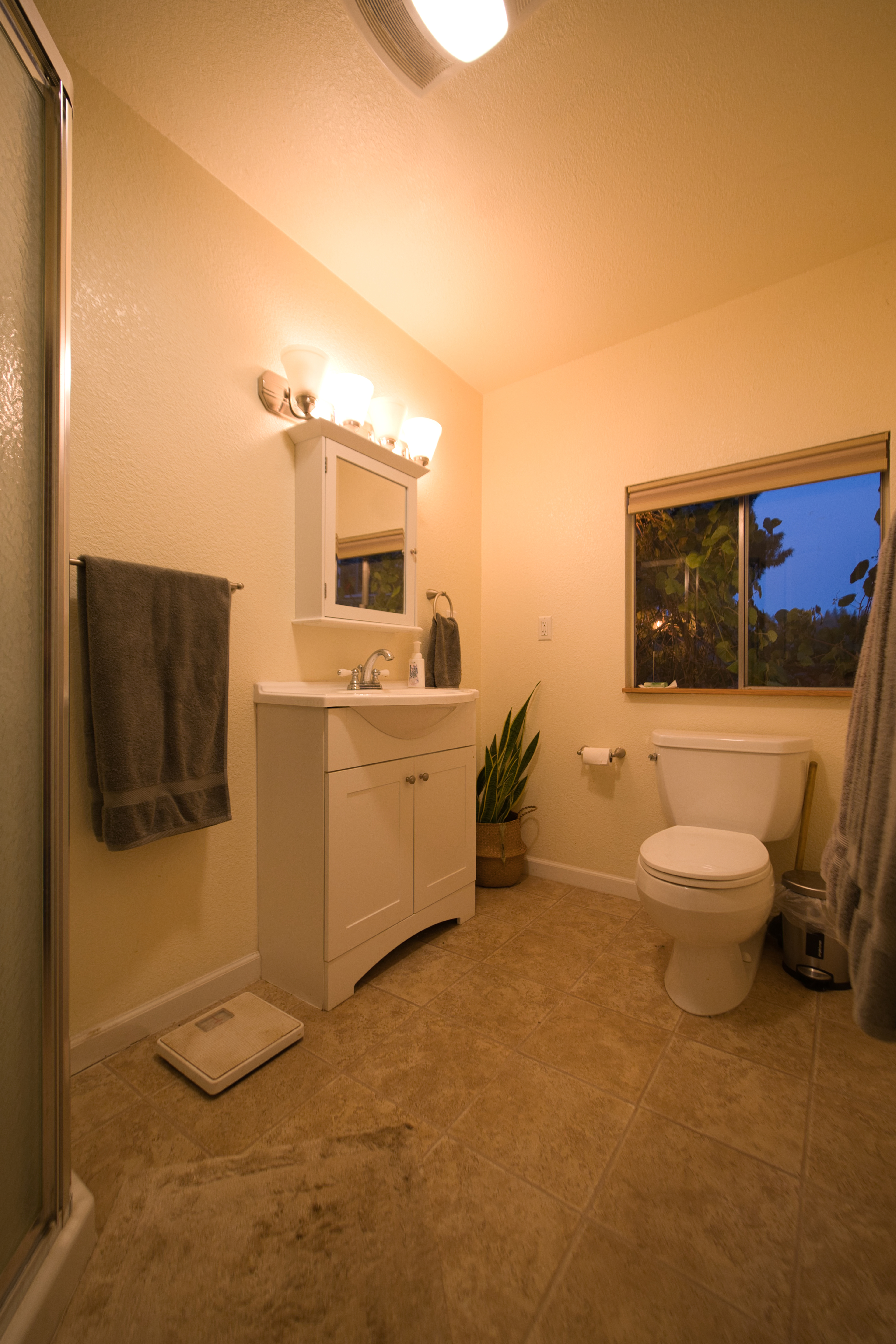 Vineyard Camping at Bad Rat Ranch