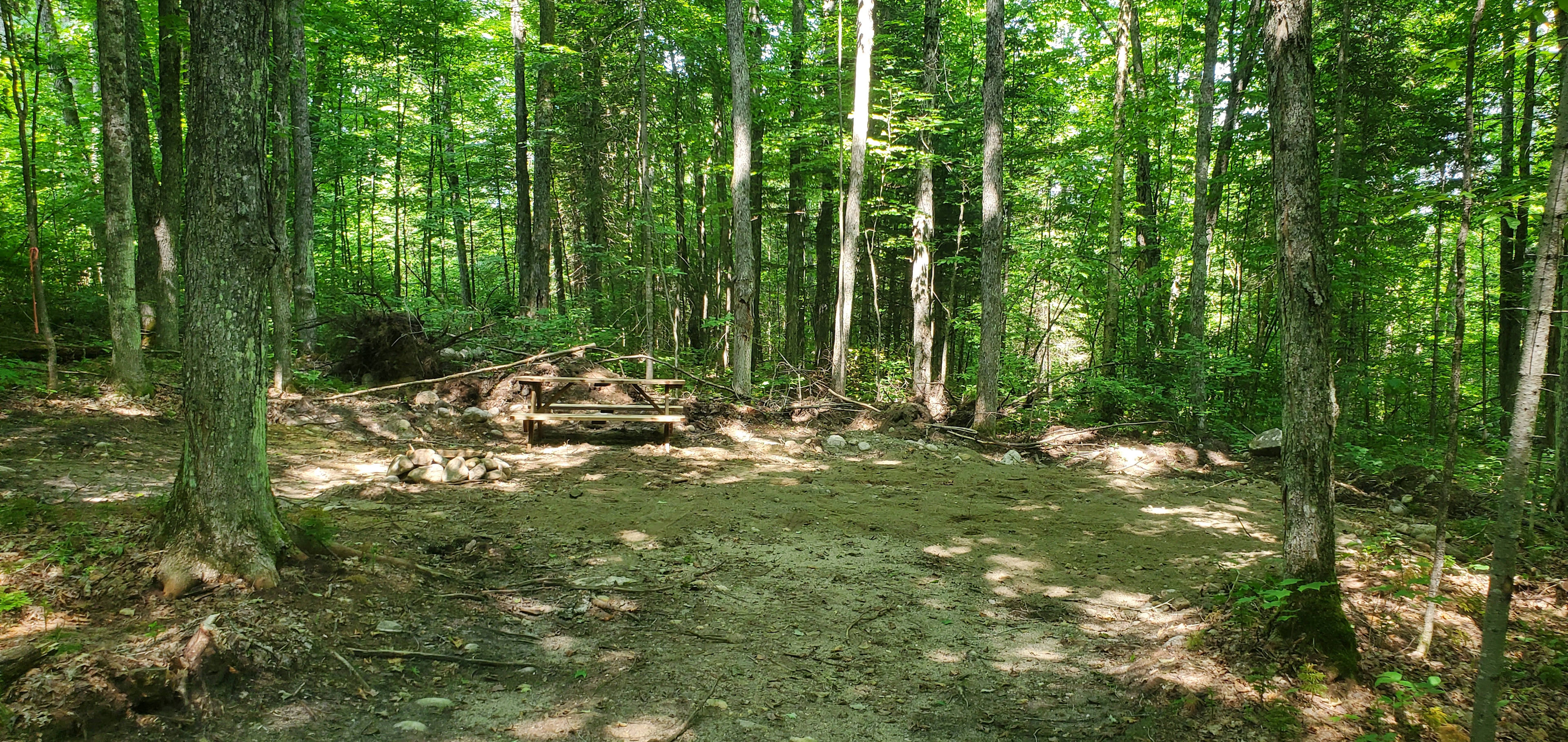Mixed Forest, Hilly Region