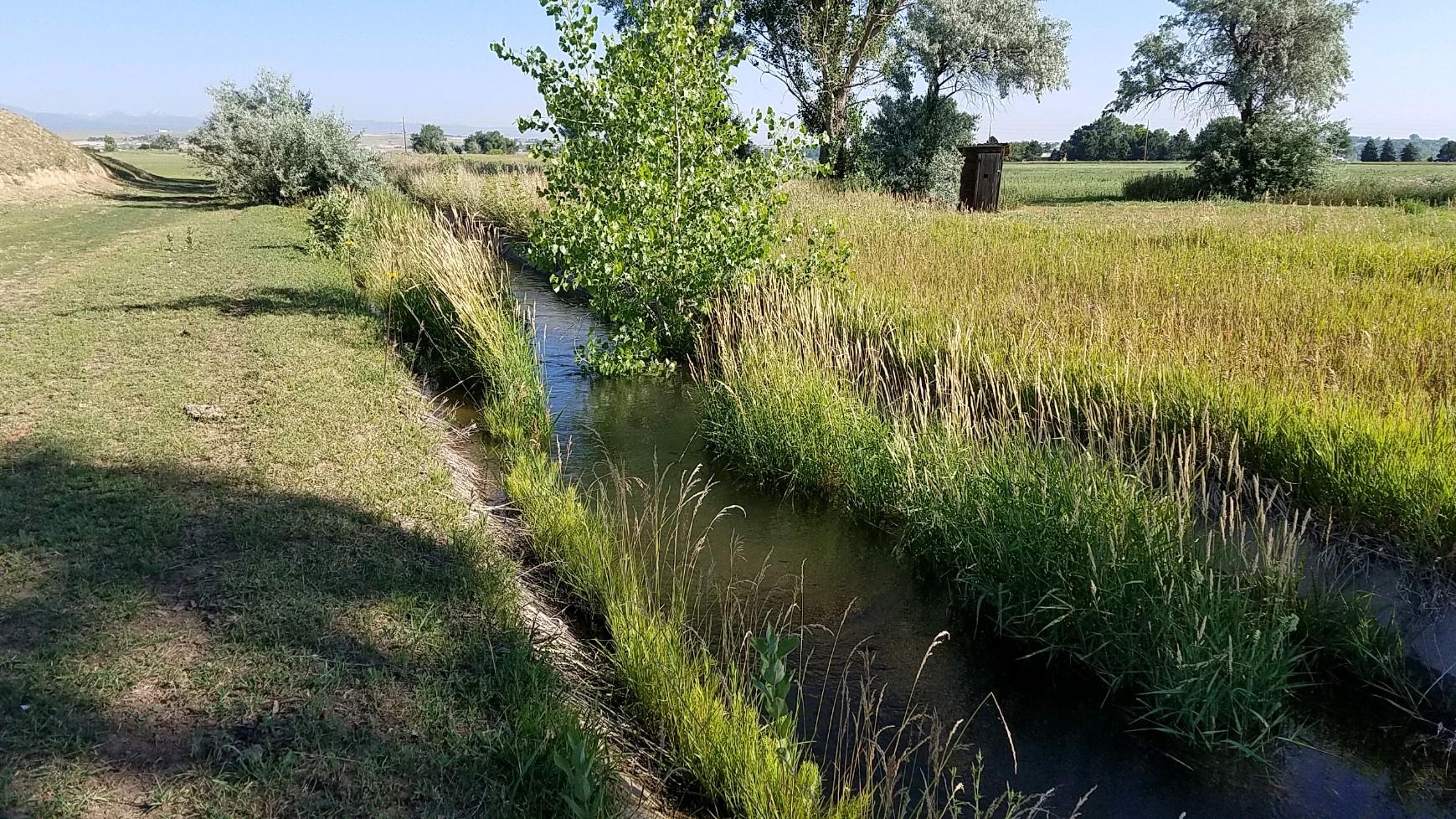 Montgomery Homestead