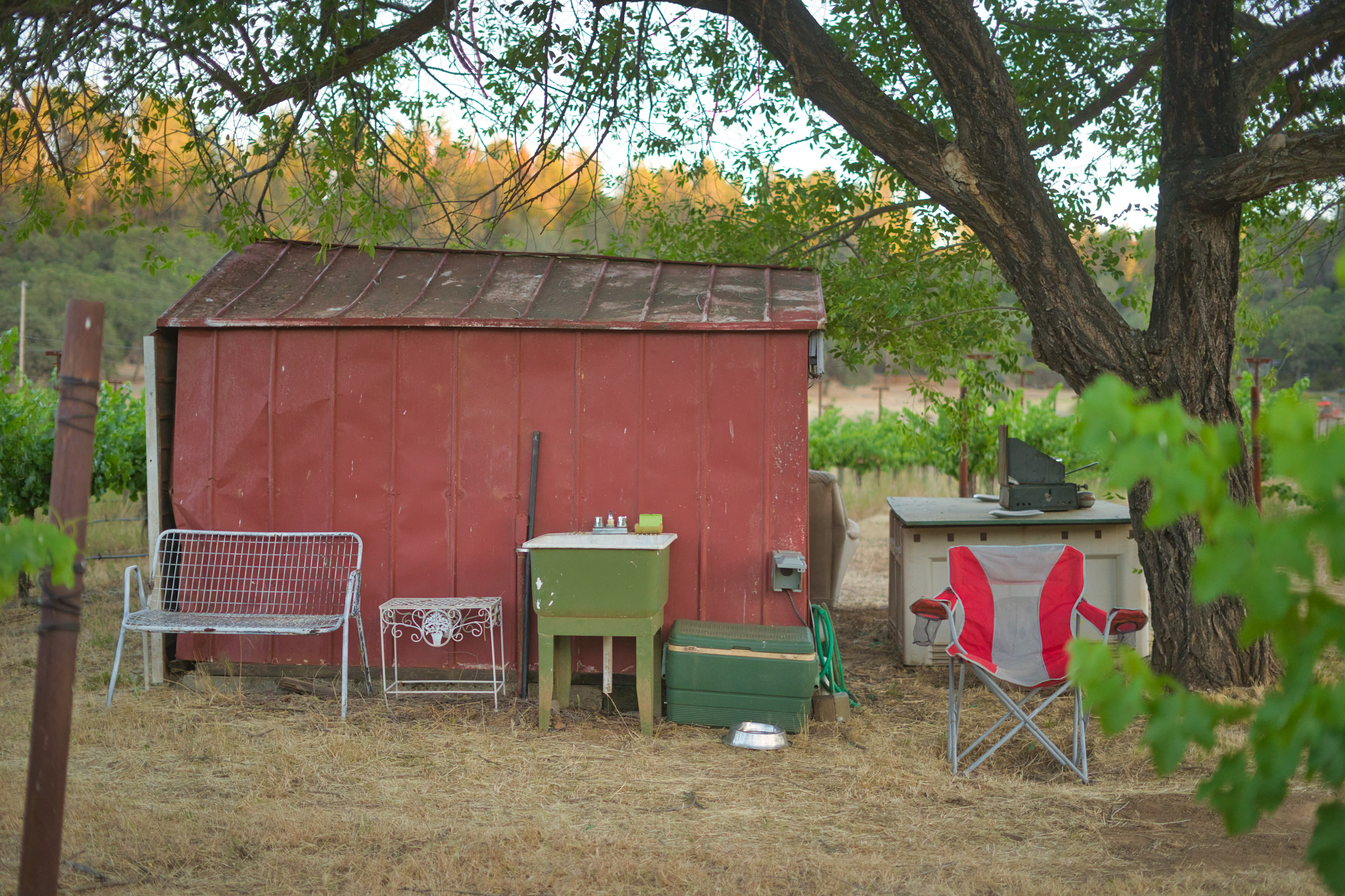 Vineyard Camping at Bad Rat Ranch